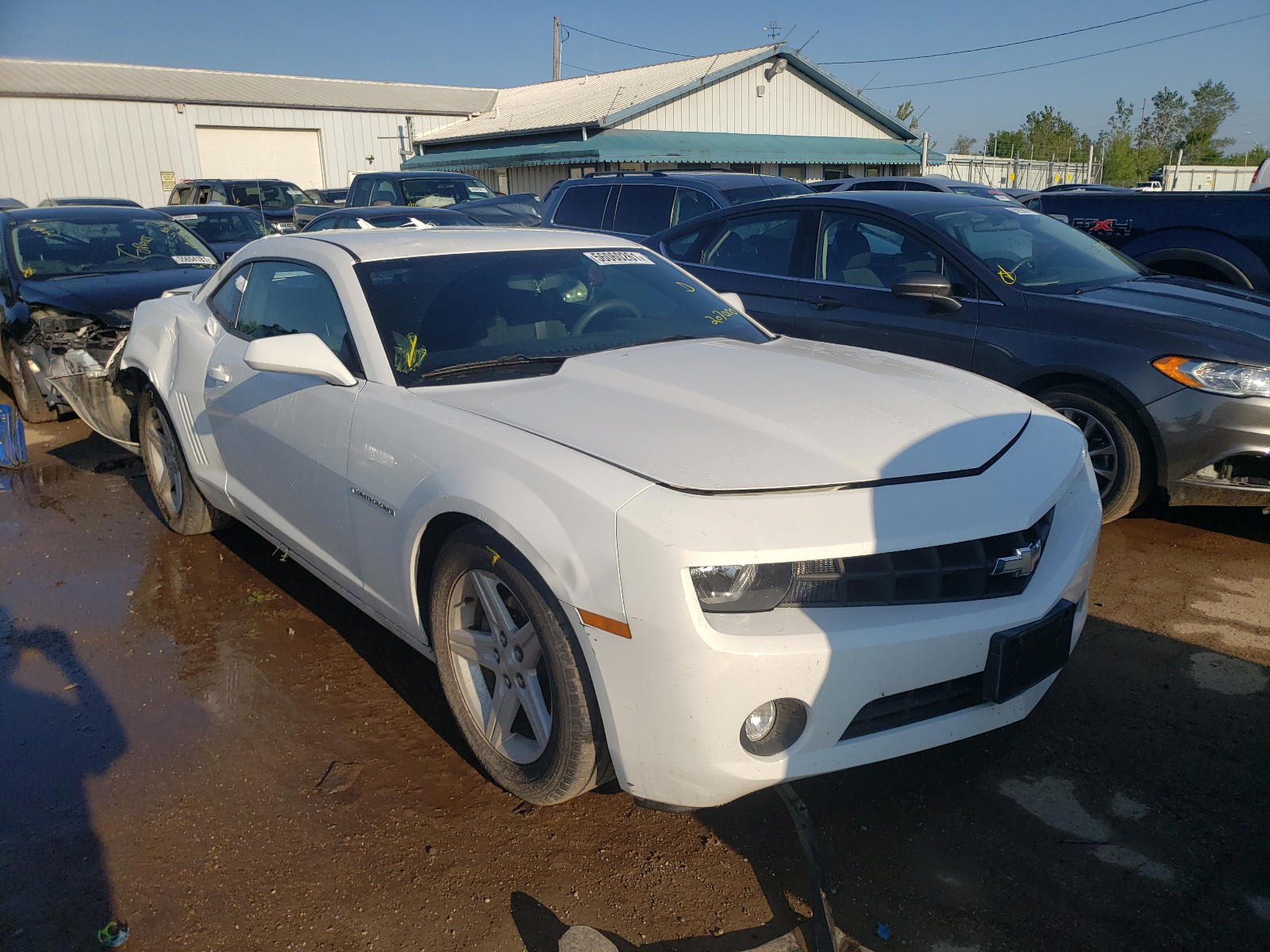 CHEVROLET CAMARO LT 2011 with VIN 2G1FB1ED4B9207000 - Photo from auction
