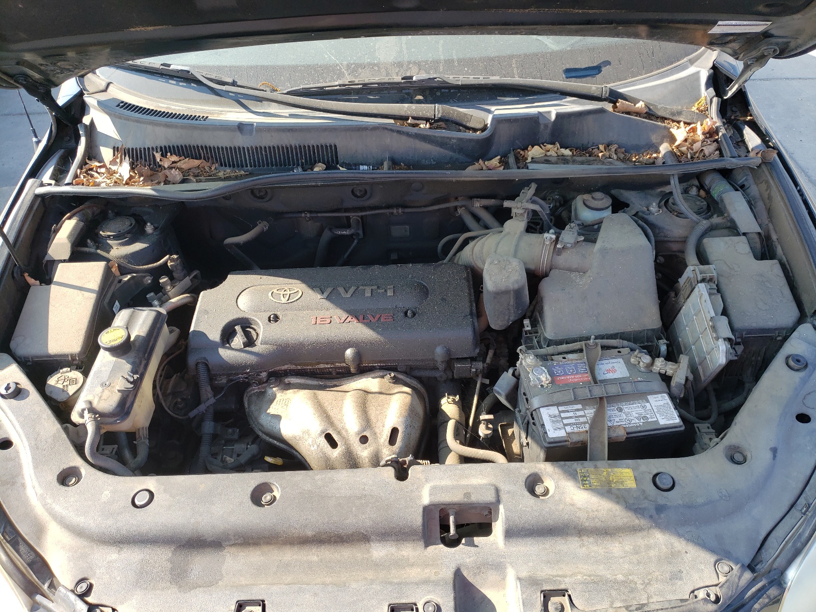 Photo 7 from auction – 2008 TOYOTA RAV4 with VIN JTMZD33V486056861