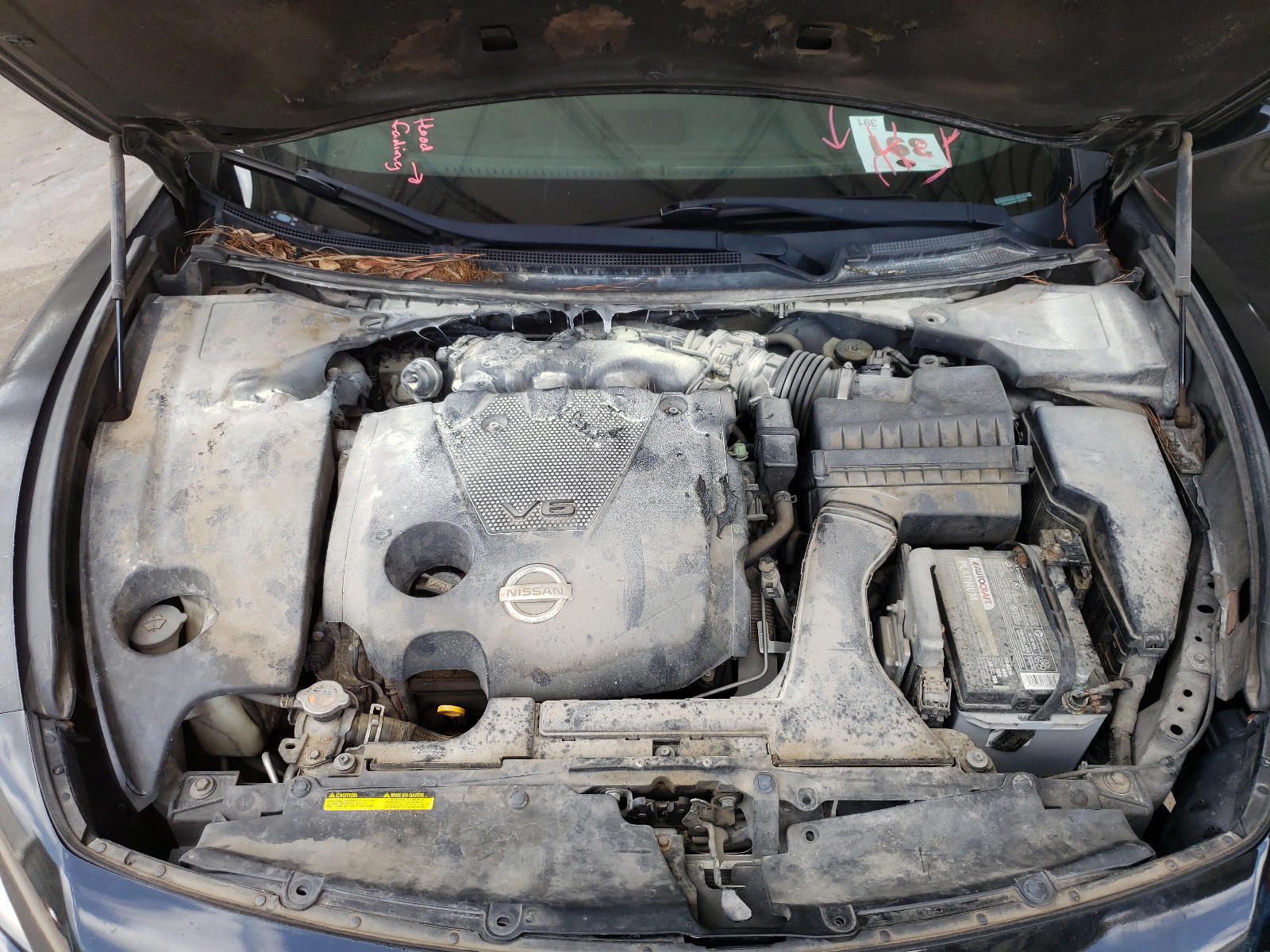 Photo 7 from auction – 2011 NISSAN MAXIMA S with VIN 1N4AA5AP8BC800546