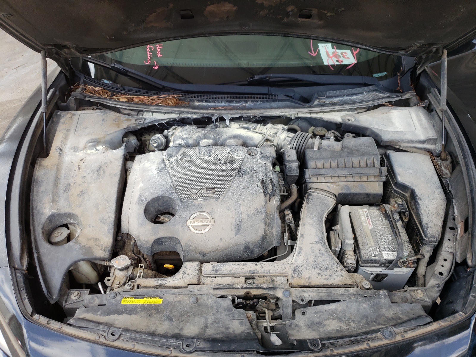 صورة رقم 7 من المزاد - 2011 NISSAN MAXIMA S مع VIN 1N4AA5AP8BC800546