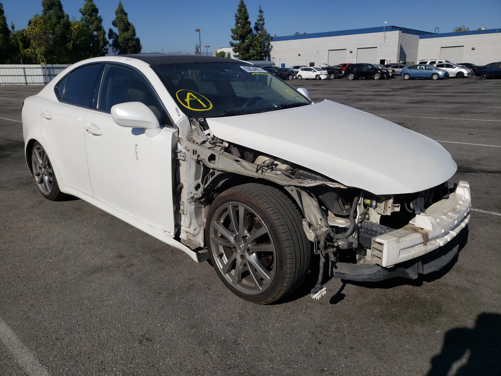 LEXUS IS 250 2007 with VIN JTHBK262672027031 - Photo from auction