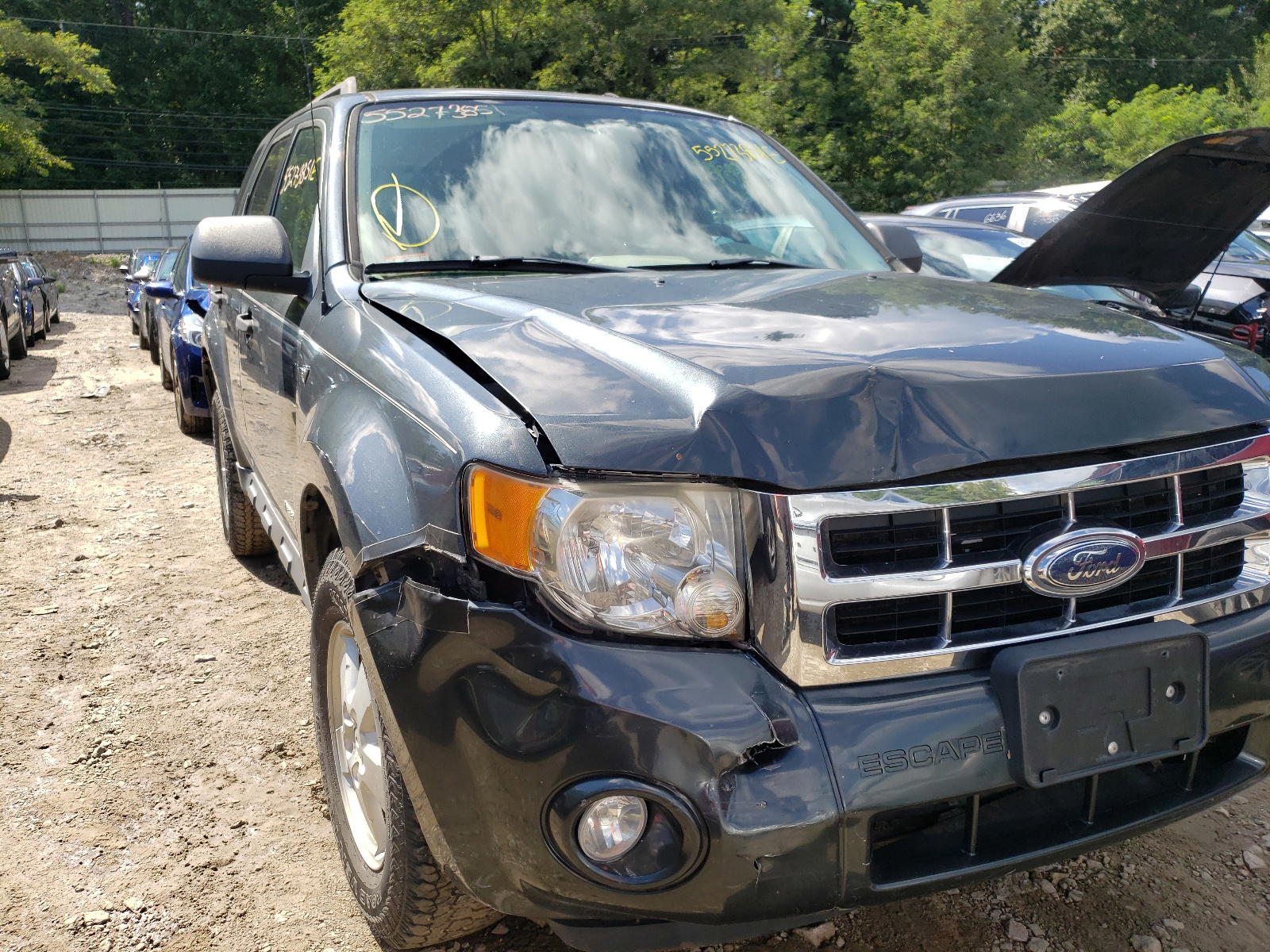 FORD ESCAPE XLT 2008 with VIN 1FMCU93138KC18858 - Photo from auction