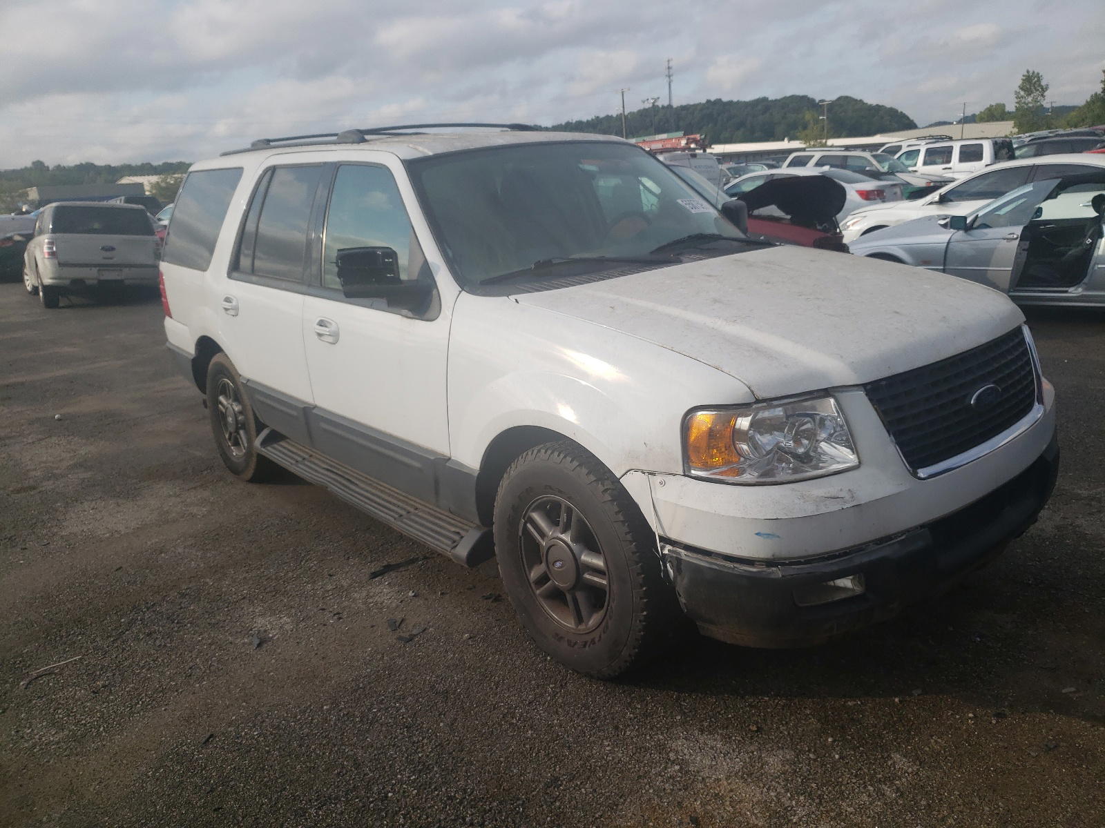 FORD EXPEDITION 2004 with VIN 1FMPU16L34LB49268 - Photo from auction