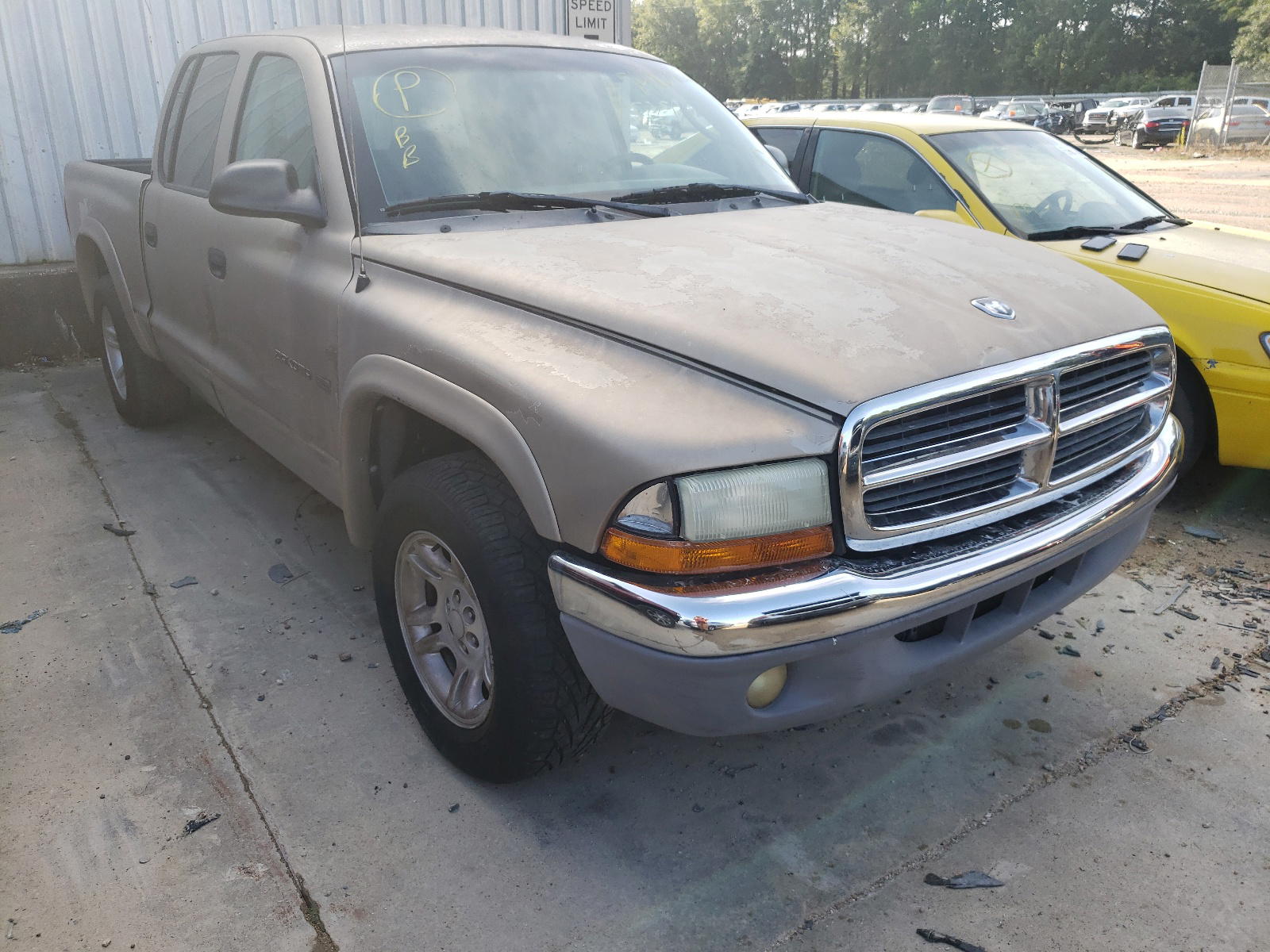 DODGE DAKOTA 2002 with VIN 1B7HL48N82S716914 - Photo from auction