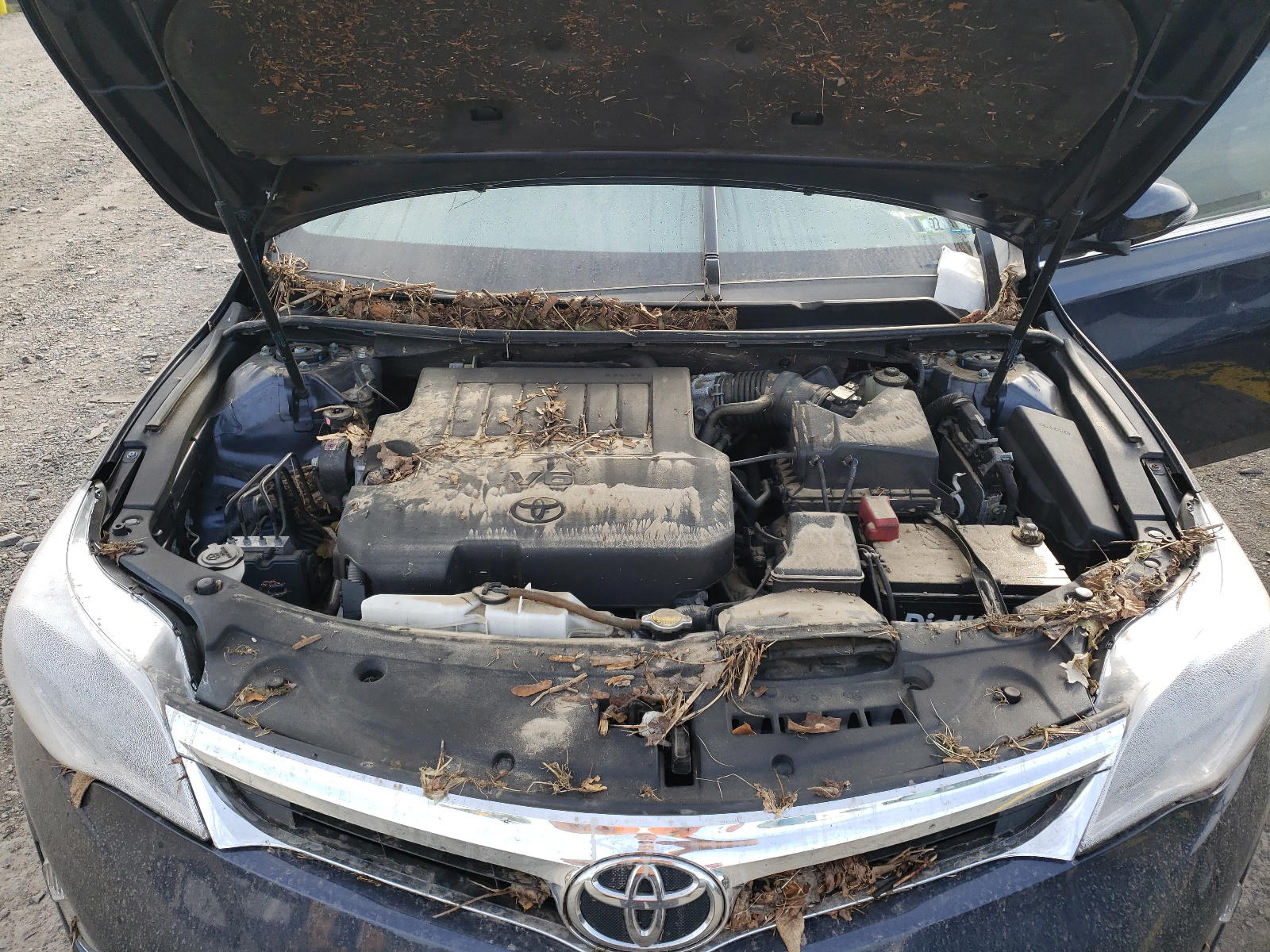Photo 7 from auction – 2014 TOYOTA AVALON with VIN 4T1BK1EB4EU134685
