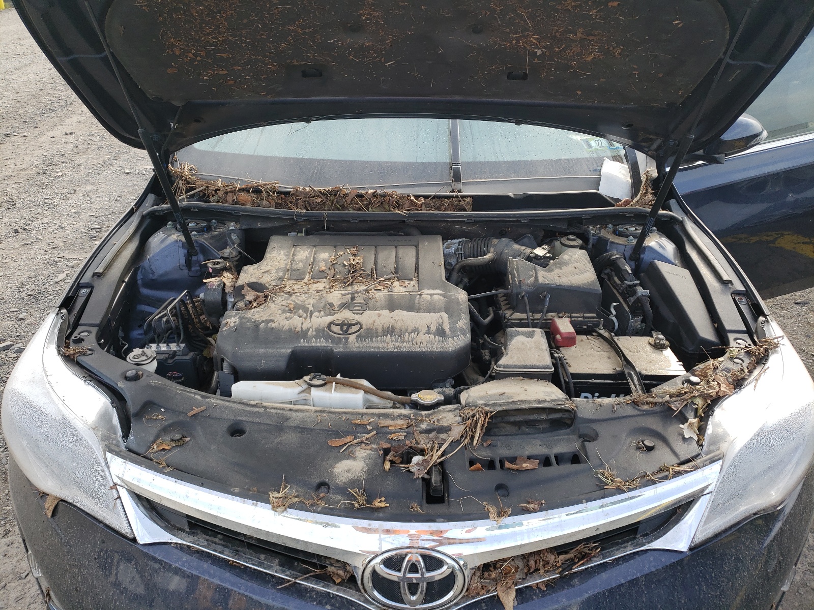 Фото 7 с аукциона – 2014 TOYOTA AVALON с VIN 4T1BK1EB4EU134685