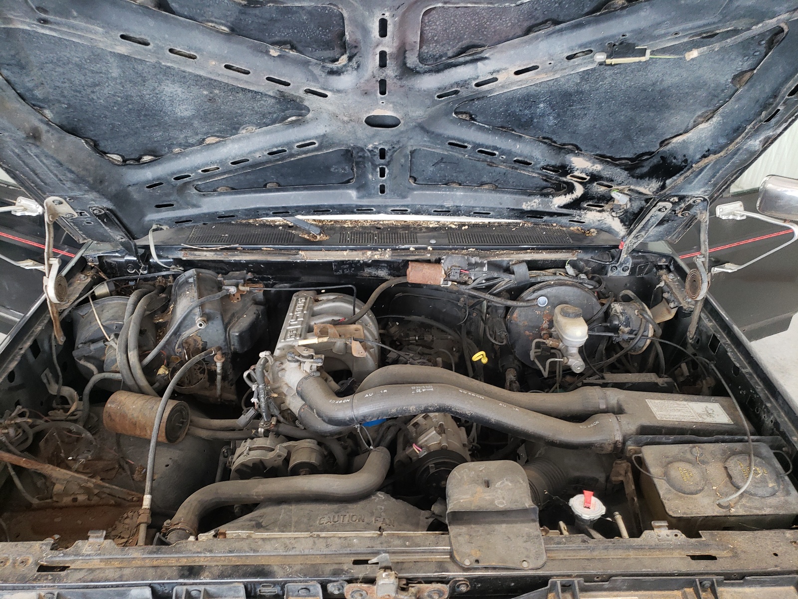Photo 7 from auction – 1989 FORD F150 with VIN 1FTEF14N5KPB19690