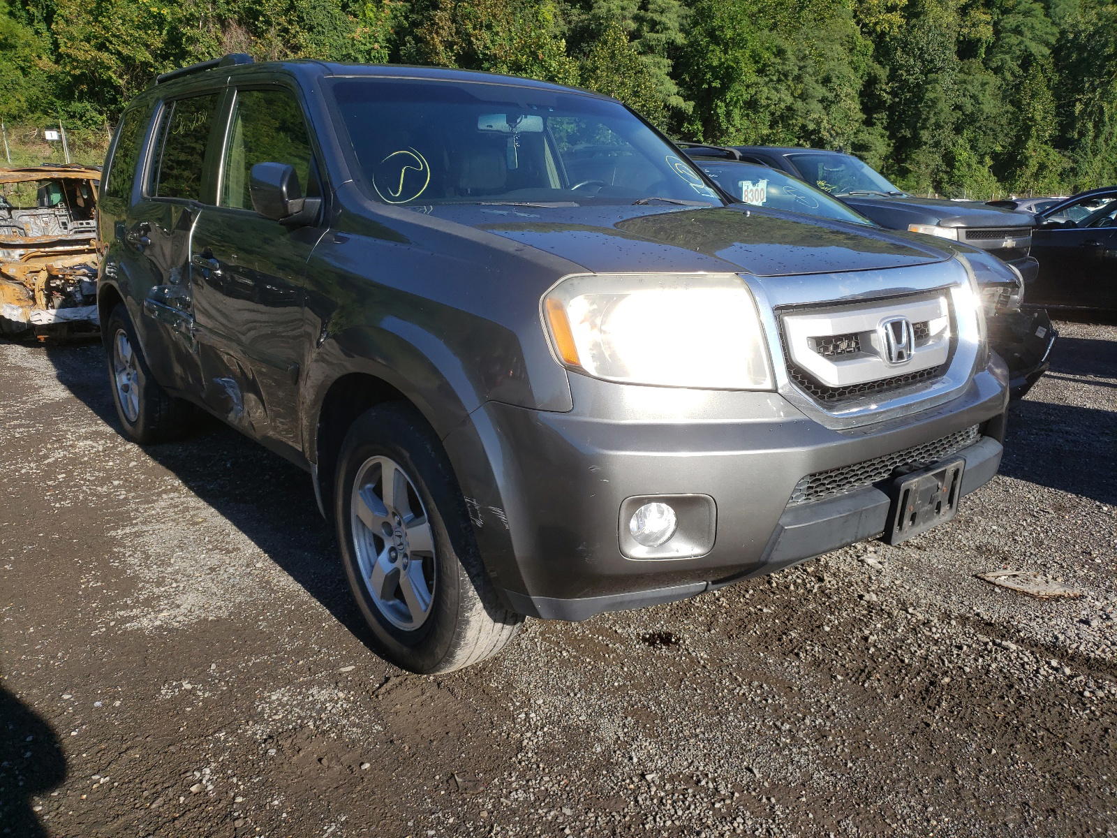 HONDA PILOT EXL 2009 with VIN 5FNYF485X9B035586 - Photo from auction