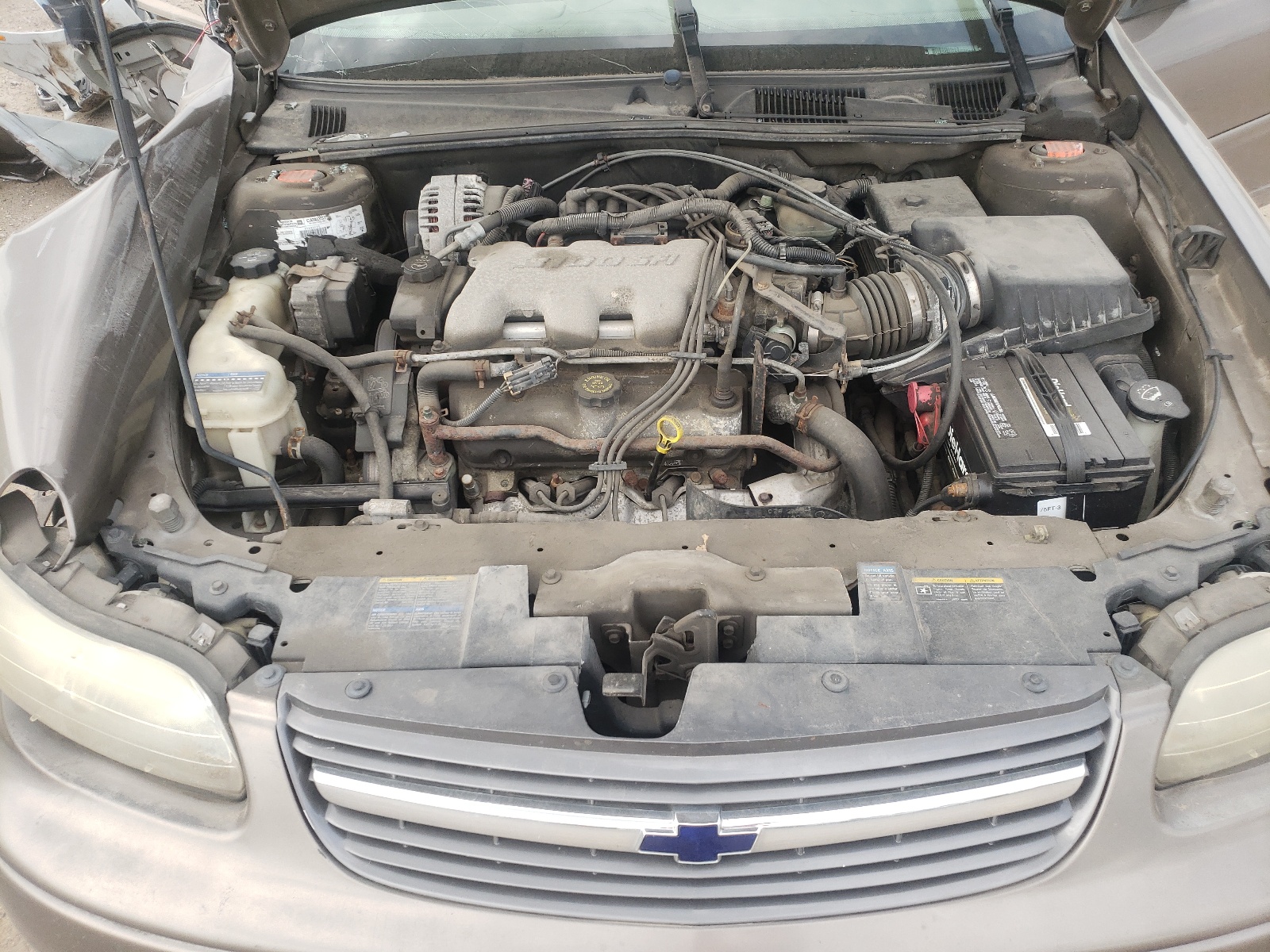 Photo 7 from auction – 2002 CHEVROLET MALIBU with VIN 1G1ND52J42M549637