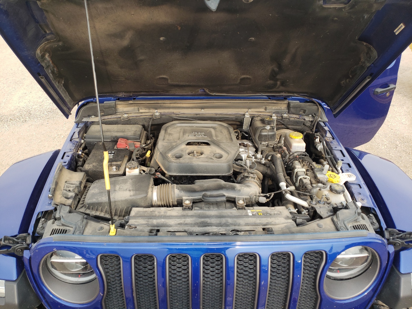 Photo 7 from auction – 2019 JEEP WRANGLER U with VIN 1C4HJXFN3KW520561