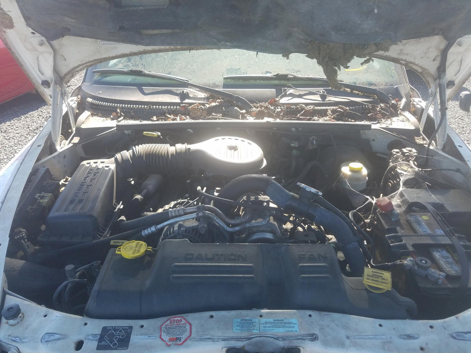 Photo 7 from auction – 2000 DODGE DURANGO with VIN 1B4HS28Z5YF112391