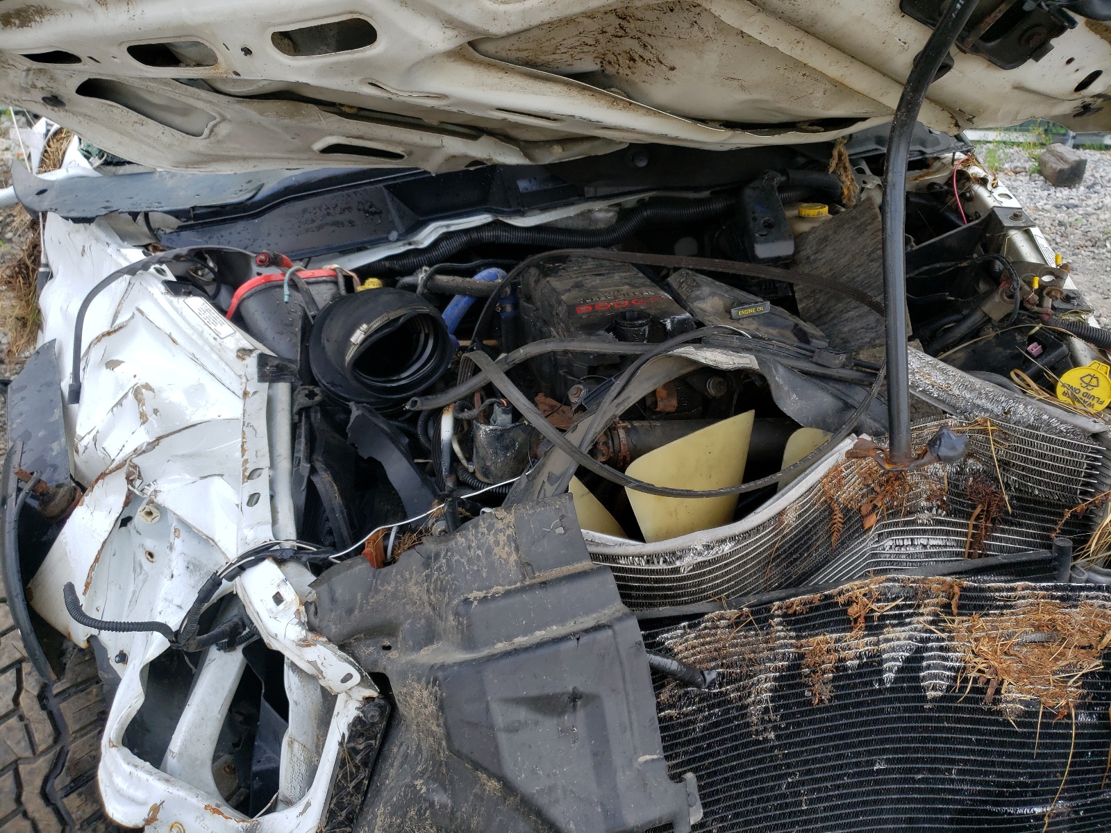 صورة رقم 7 من المزاد - 2009 DODGE RAM 3500 مع VIN 3D7MX38L69G536060
