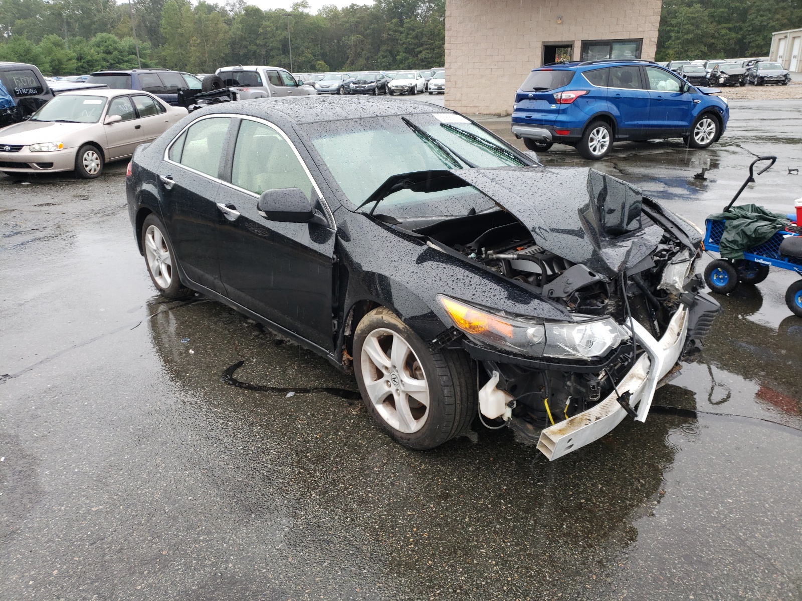 Photo 1 from auction – 2009 ACURA TSX with VIN JH4CU26679C005070