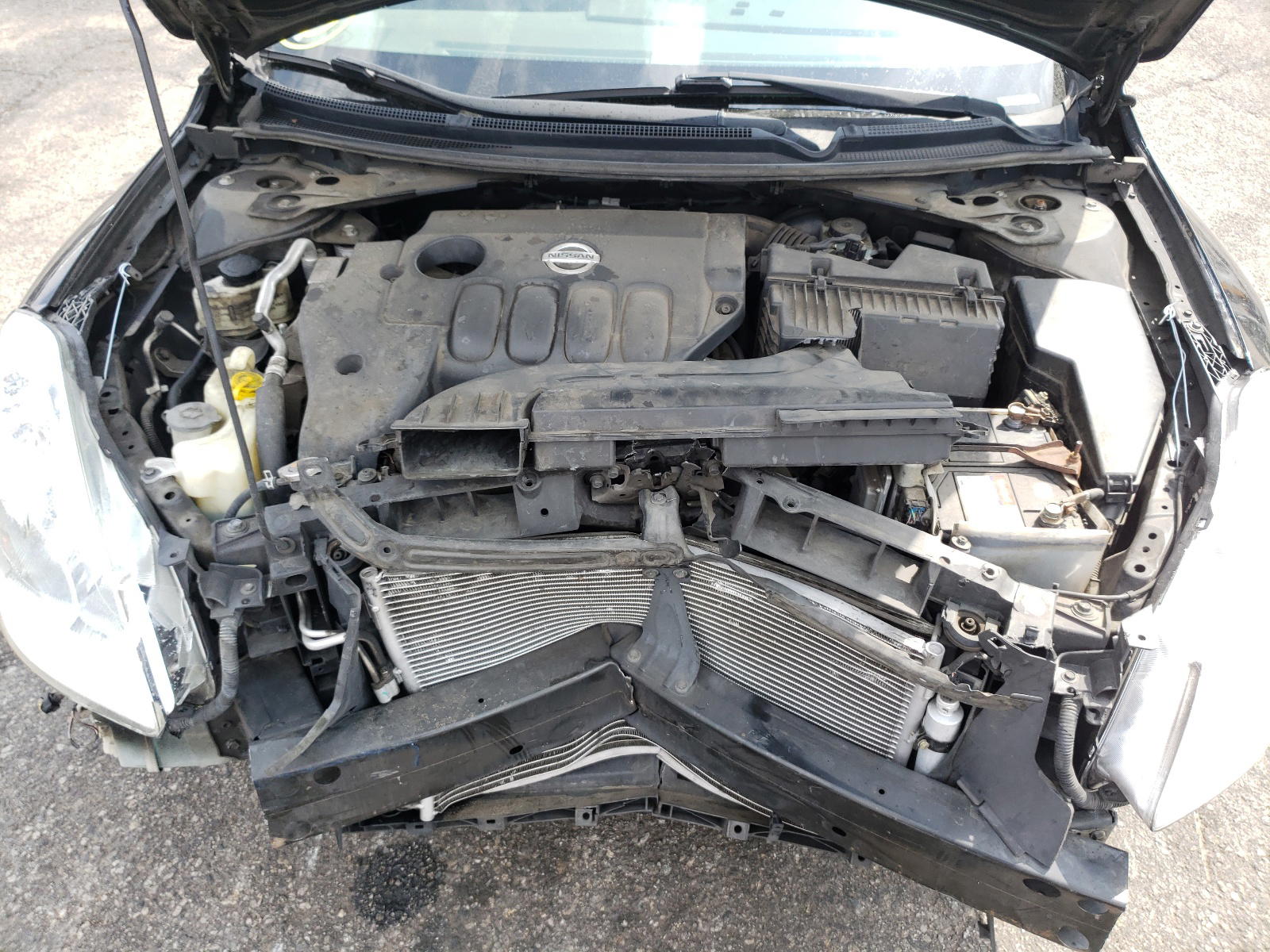 Photo 7 from auction – 2011 NISSAN ALTIMA BAS with VIN 1N4AL2AP4BC176690