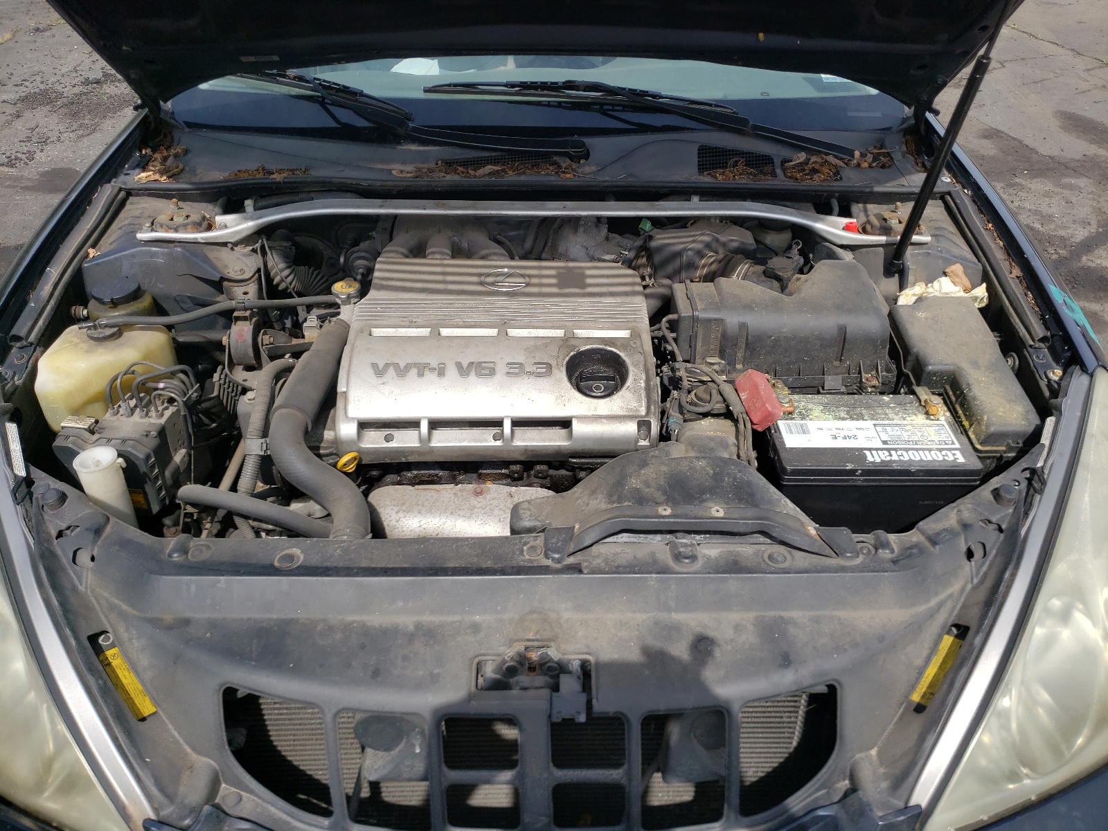Photo 7 from auction – 2005 LEXUS ES 330 with VIN JTHBA30G455076611