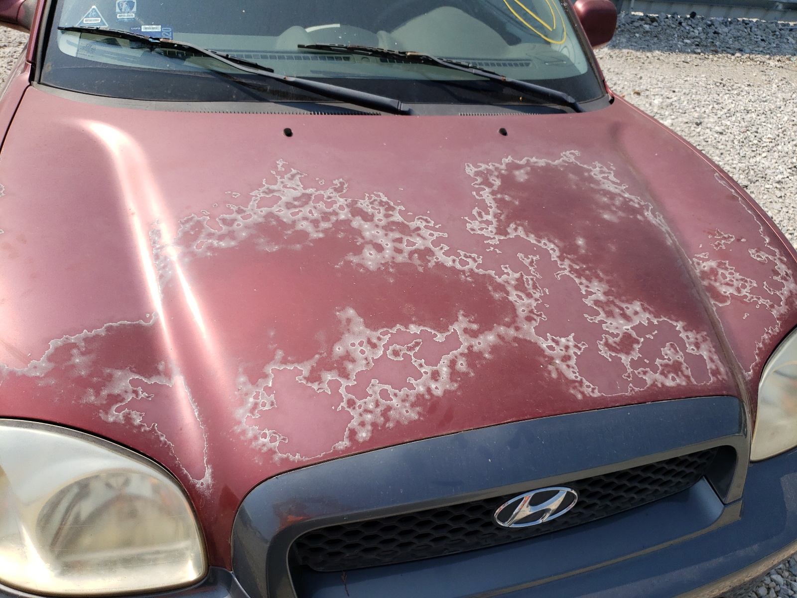 Photo 9 from auction – 2001 HYUNDAI SANTA FE G with VIN KM8SC83D41U084973