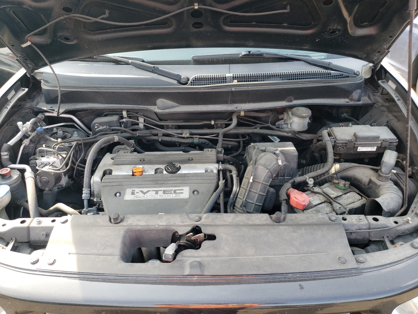 Photo 7 from auction – 2008 HONDA ELEMENT SC with VIN 5J6YH18958L006076