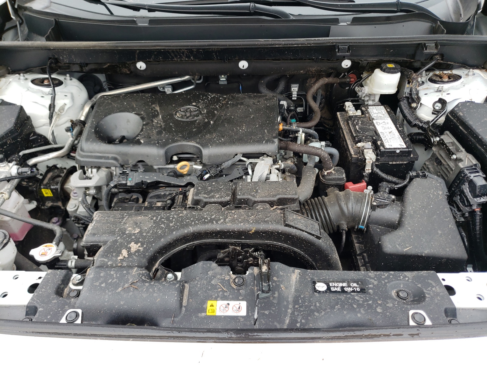 Photo 7 from auction – 2020 TOYOTA RAV4 LE with VIN 2T3H1RFV3LC046771