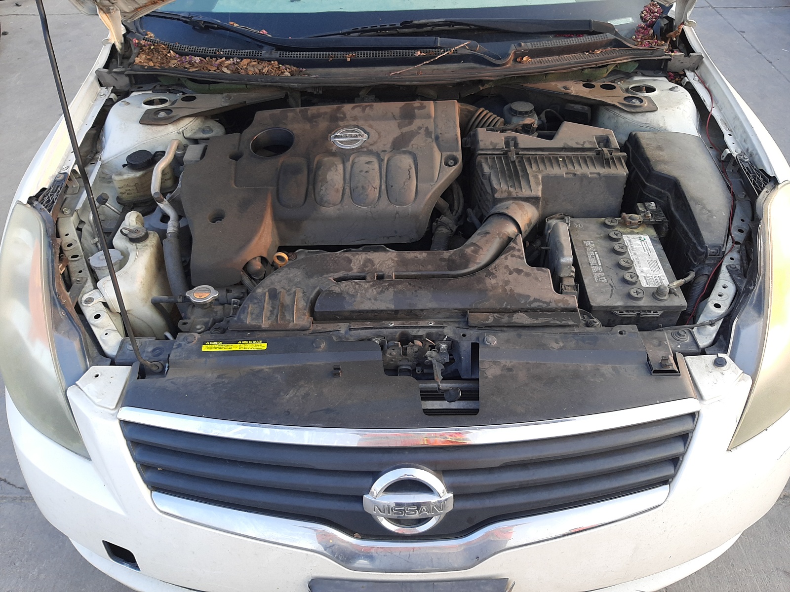 Photo 7 from auction – 2008 NISSAN ALTIMA 2.5 with VIN 1N4AL21E48N521356