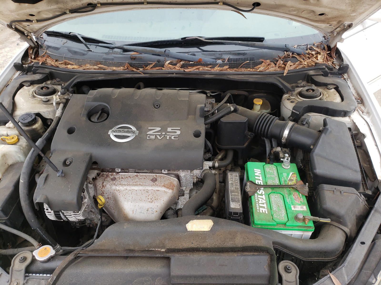 Photo 7 from auction – 2002 NISSAN ALTIMA BAS with VIN 1N4AL11D32C178866