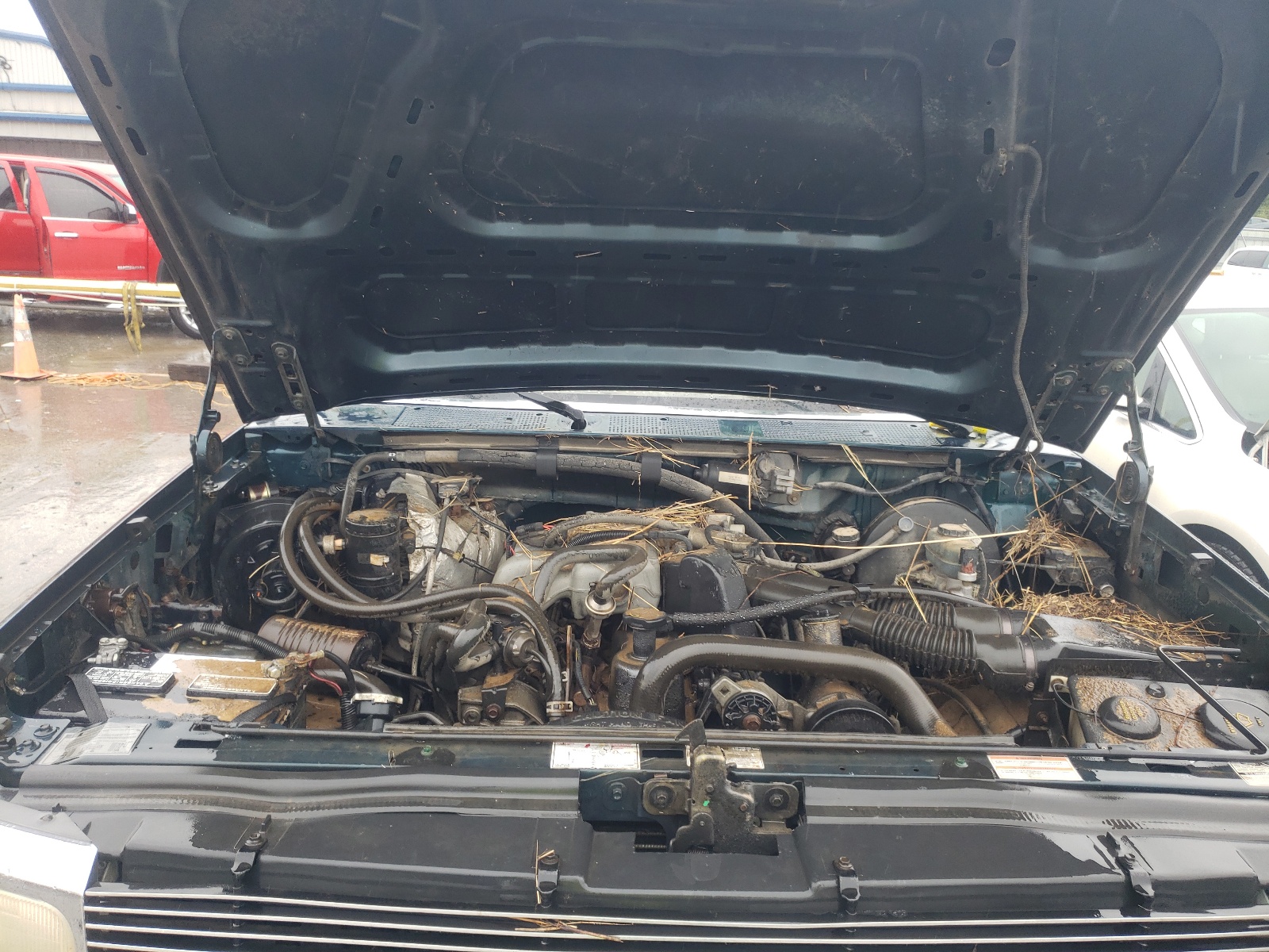 Photo 7 from auction – 1995 FORD F150 with VIN 1FTDF15Y0SNB57859
