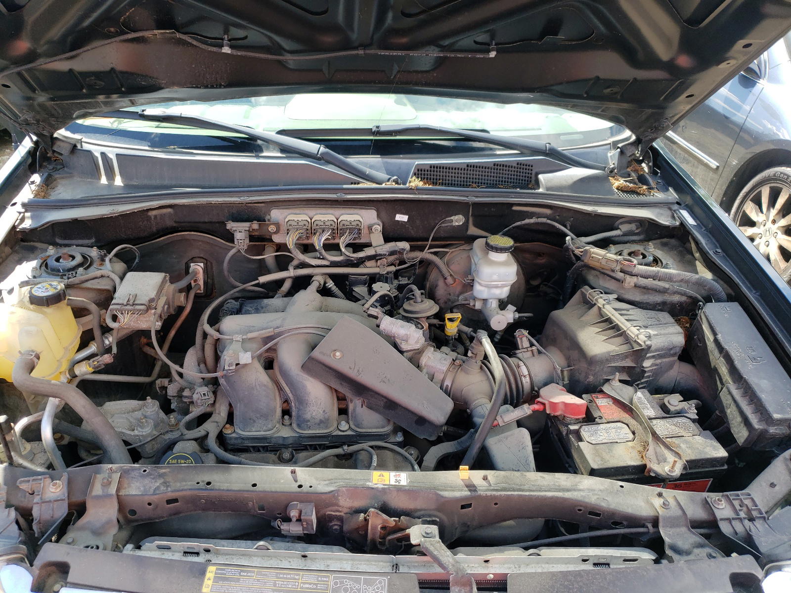 Photo 8 from auction – 2008 FORD ESCAPE XLT with VIN 1FMCU93138KC18858
