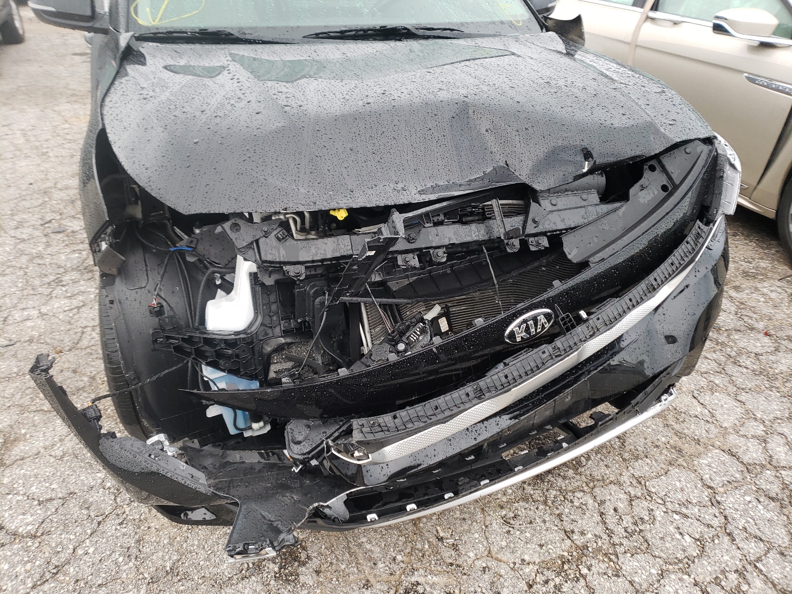 Photo 9 from auction – 2021 KIA SELTOS EX with VIN KNDERCAA1M7049791