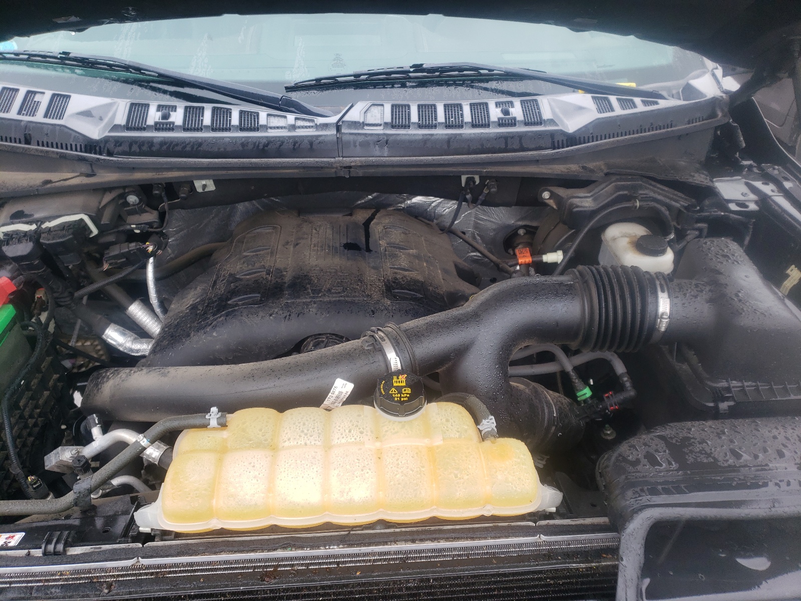 Photo 7 from auction – 2016 FORD F150 SUPER with VIN 1FTFW1EG8GFC67933
