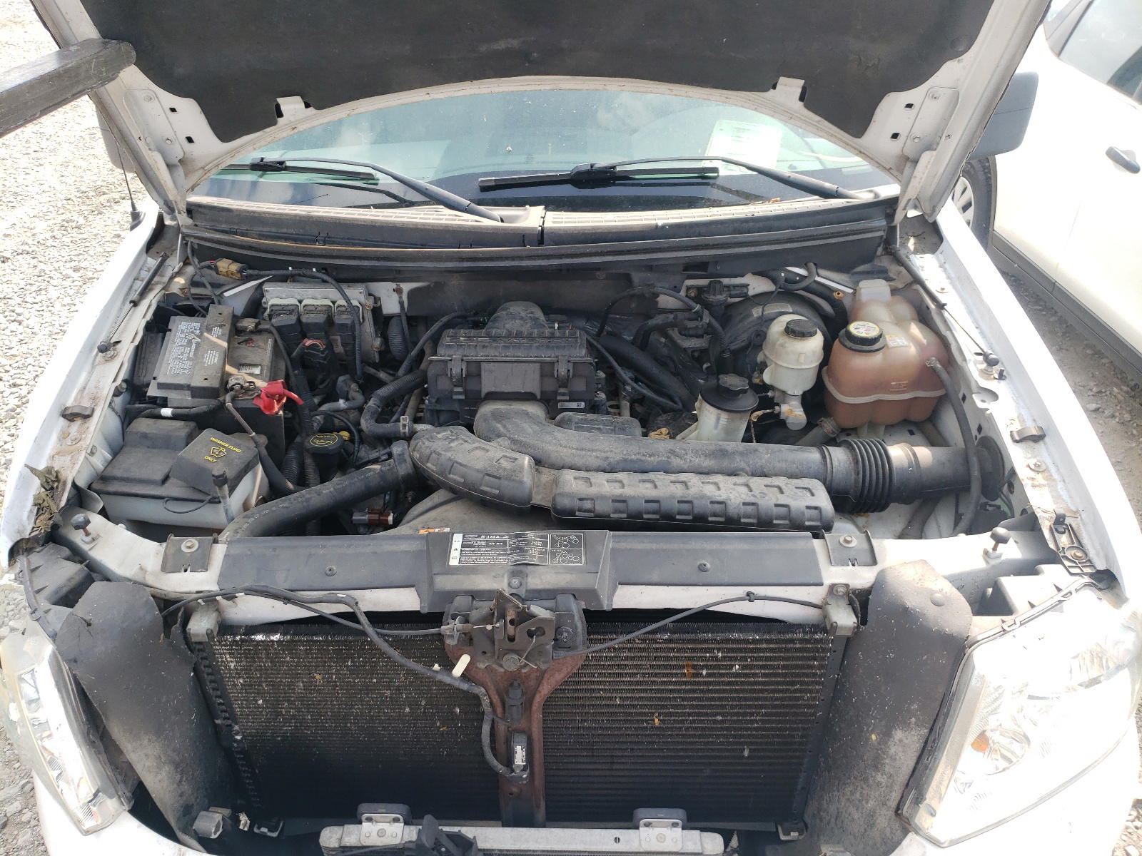Photo 7 from auction – 2008 FORD F150 with VIN 1FTPX14V48FB22116