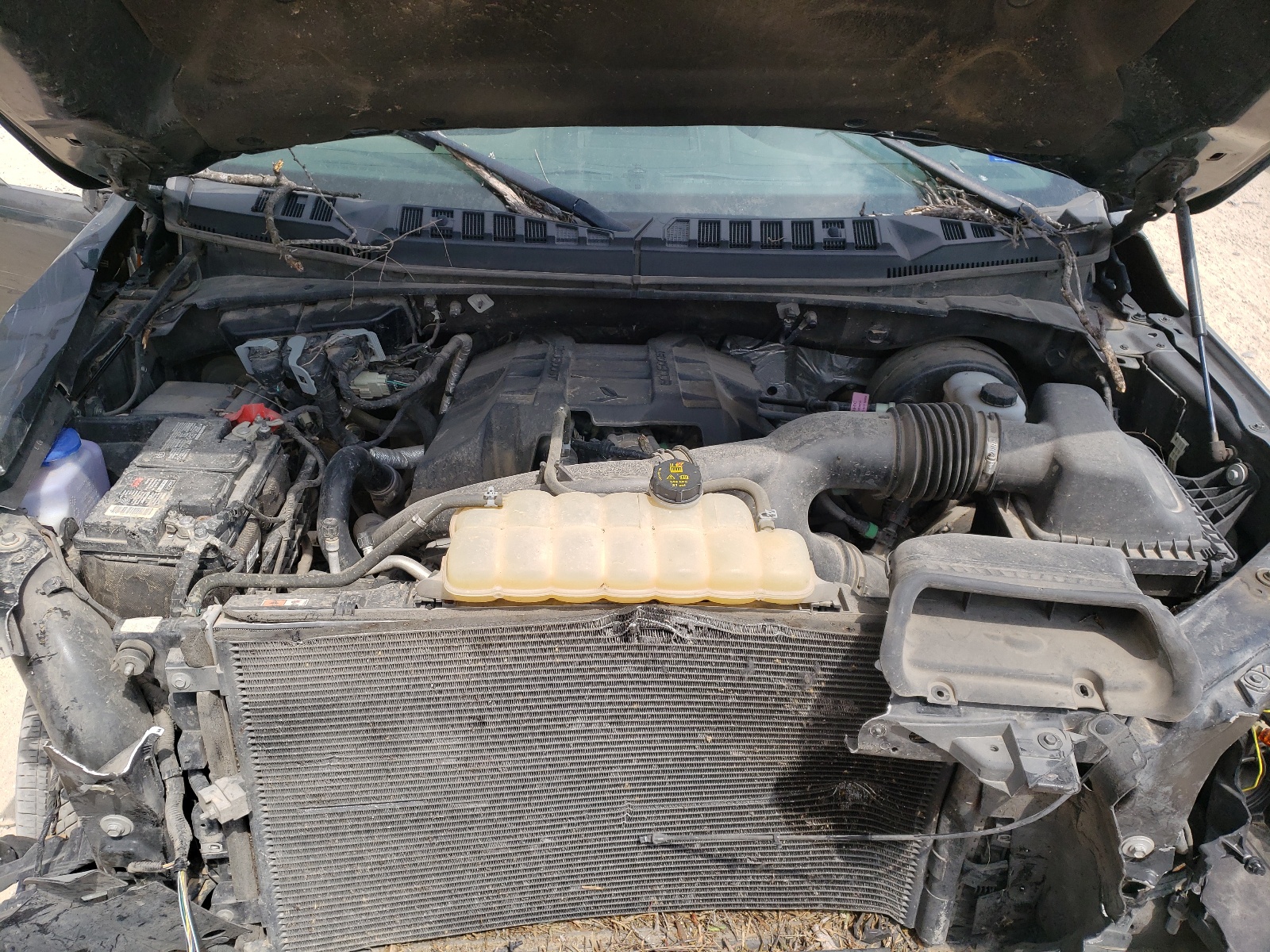 Photo 7 from auction – 2018 FORD F150 SUPER with VIN 1FTEW1CP0JKD92129