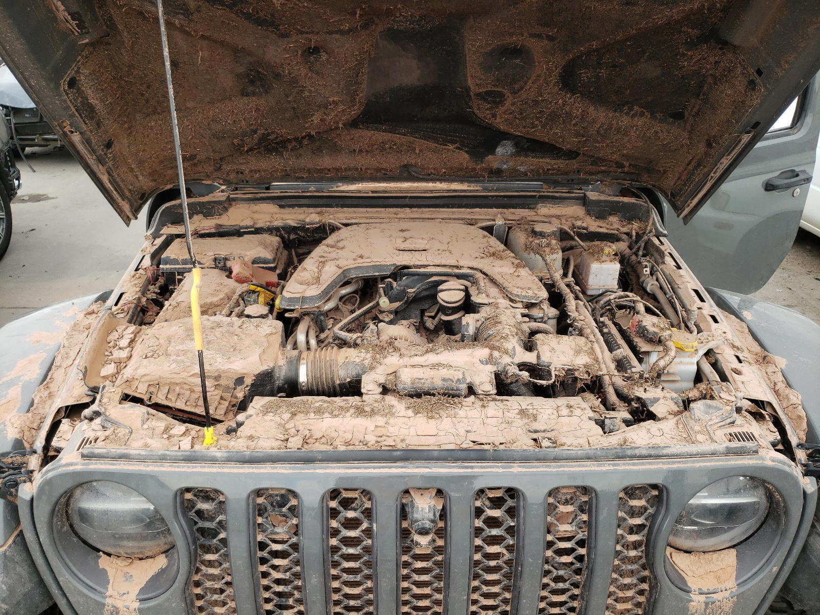 Photo 7 from auction – 2021 JEEP GLADIATOR with VIN 1C6JJTEG0ML546706