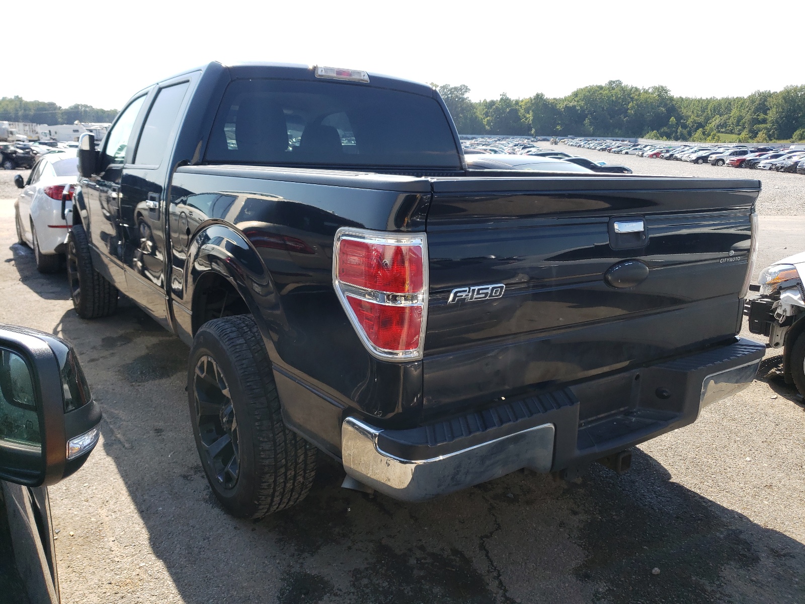 Photo 3 from auction – 2010 FORD F150 SUPER with VIN 1FTEW1C81AFB86755