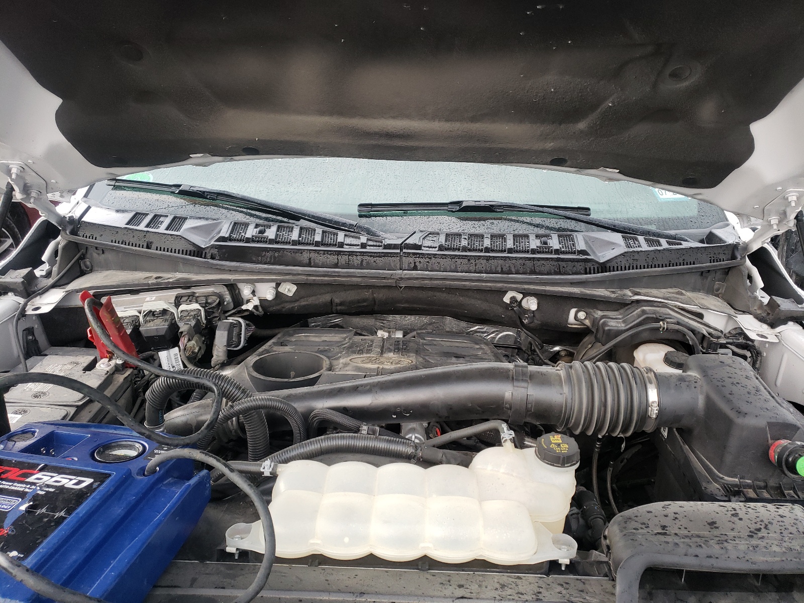 Photo 7 from auction – 2018 FORD F150 SUPER with VIN 1FTFW1E18JFD28250