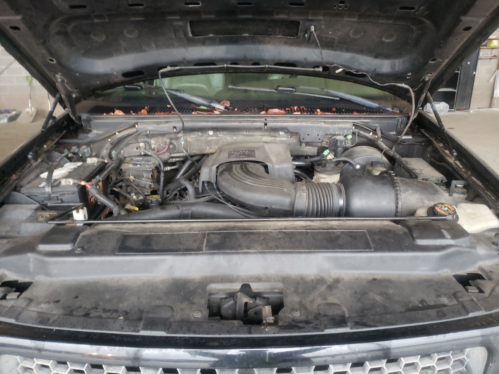 Photo 7 from auction – 2001 FORD F150 SUPER with VIN 1FTRW08L31KC53095