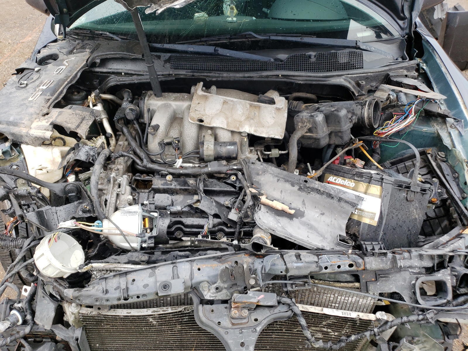 Photo 7 from auction – 2008 NISSAN MAXIMA SE with VIN 1N4BA41E18C800930