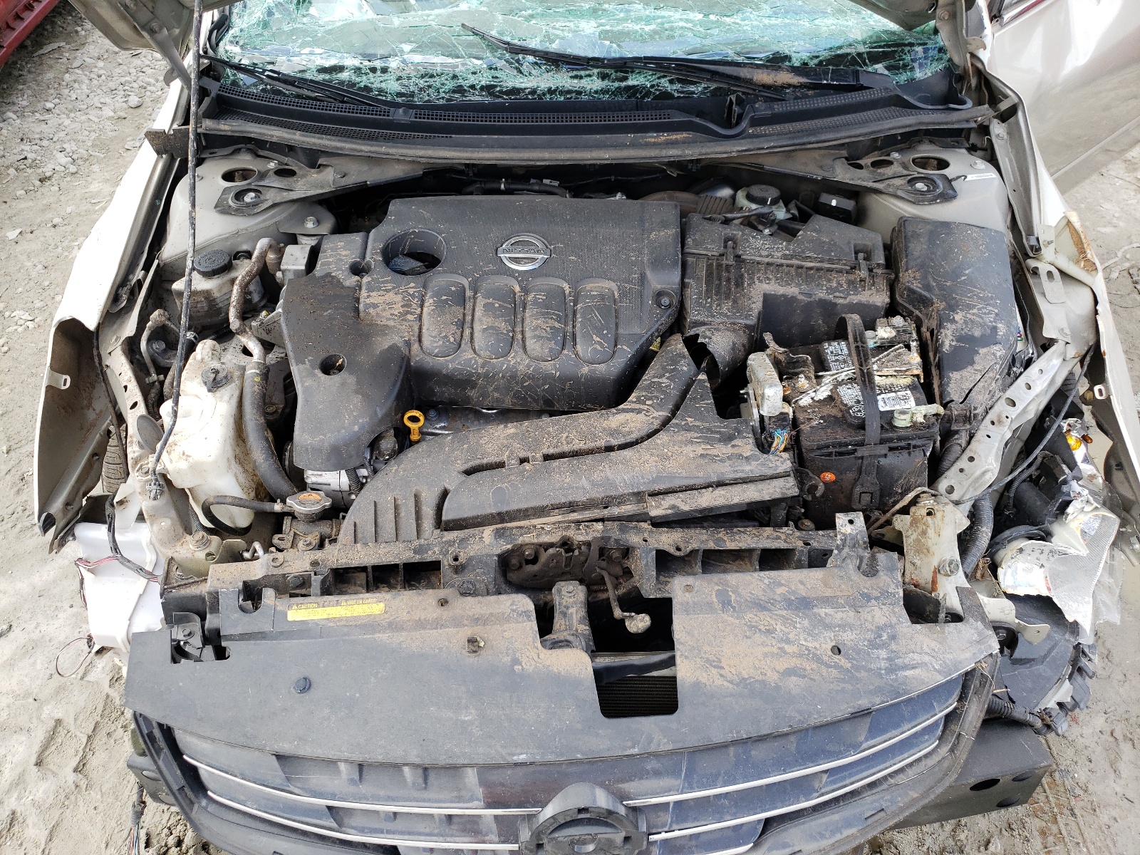Photo 7 from auction – 2010 NISSAN ALTIMA BAS with VIN 1N4AL2AP8AN414852