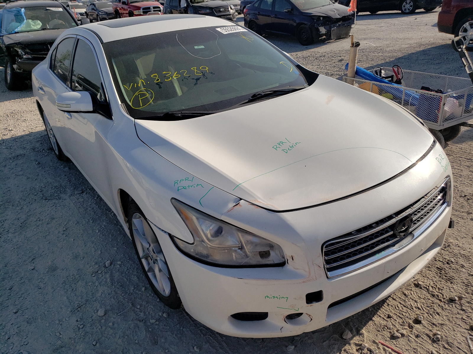 NISSAN MAXIMA S 2010 with VIN 1N4AA5AP9AC836289 - Photo from auction