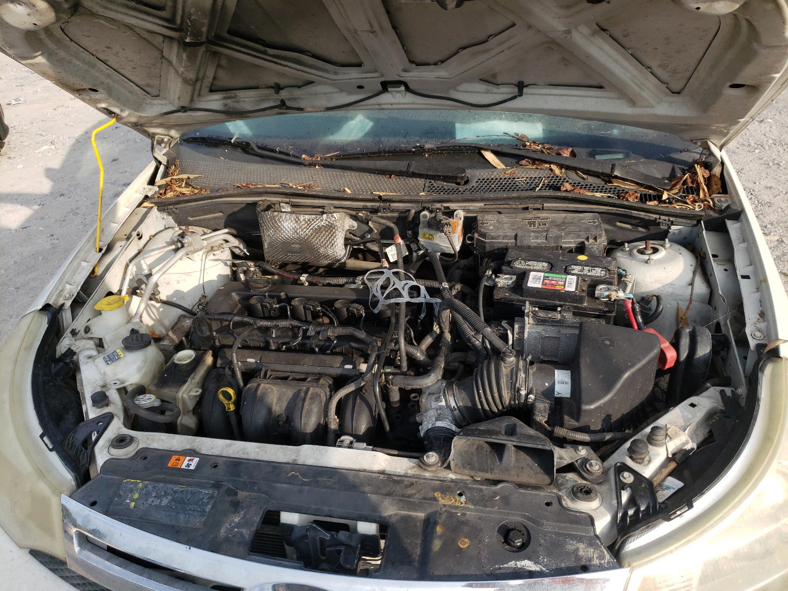 Photo 7 from auction – 2010 FORD FOCUS with VIN 1FAHP3FN2AW191122