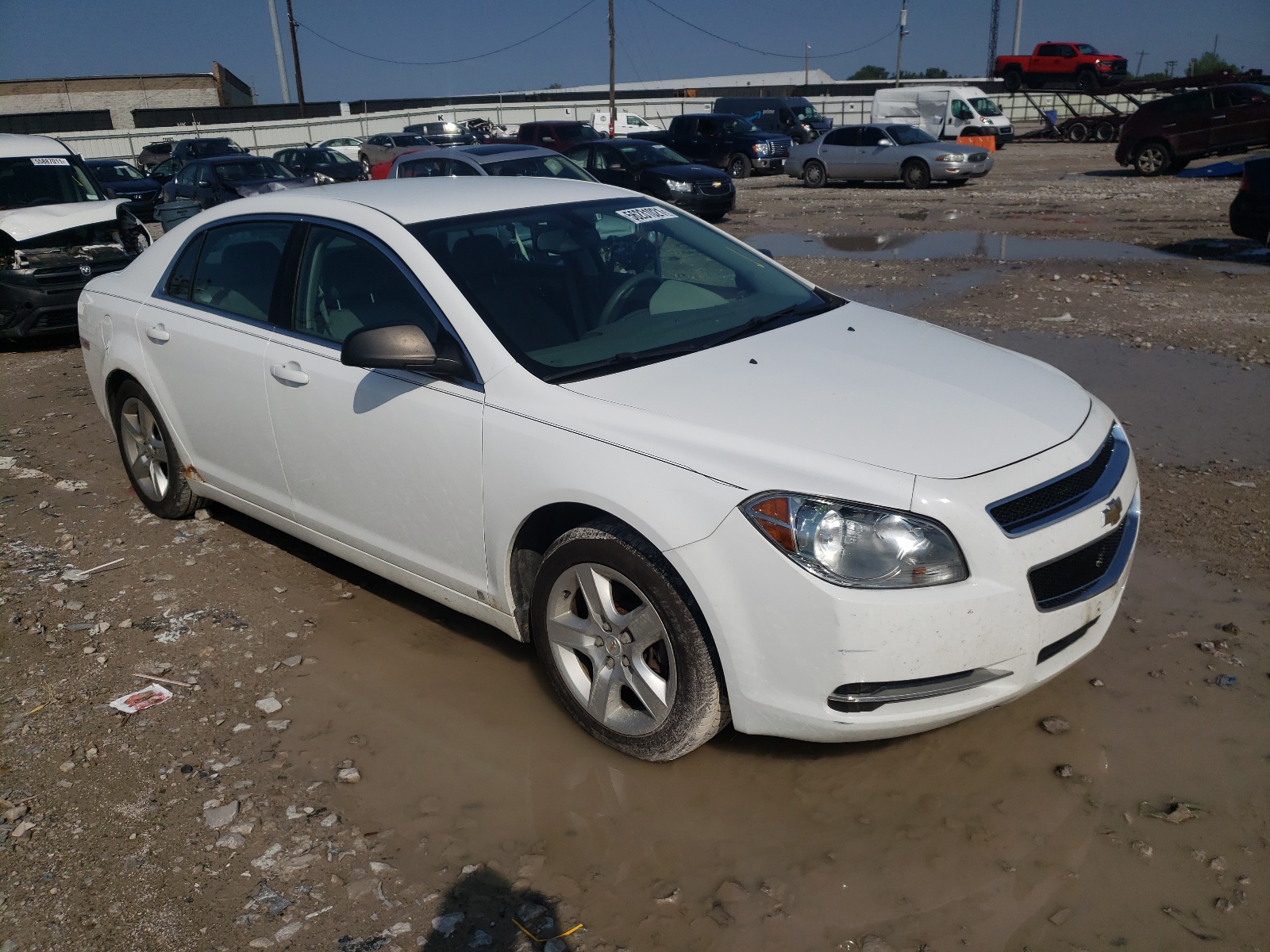 CHEVROLET MALIBU LS 2009 with VIN 1G1ZG57B99F136802 - Photo from auction