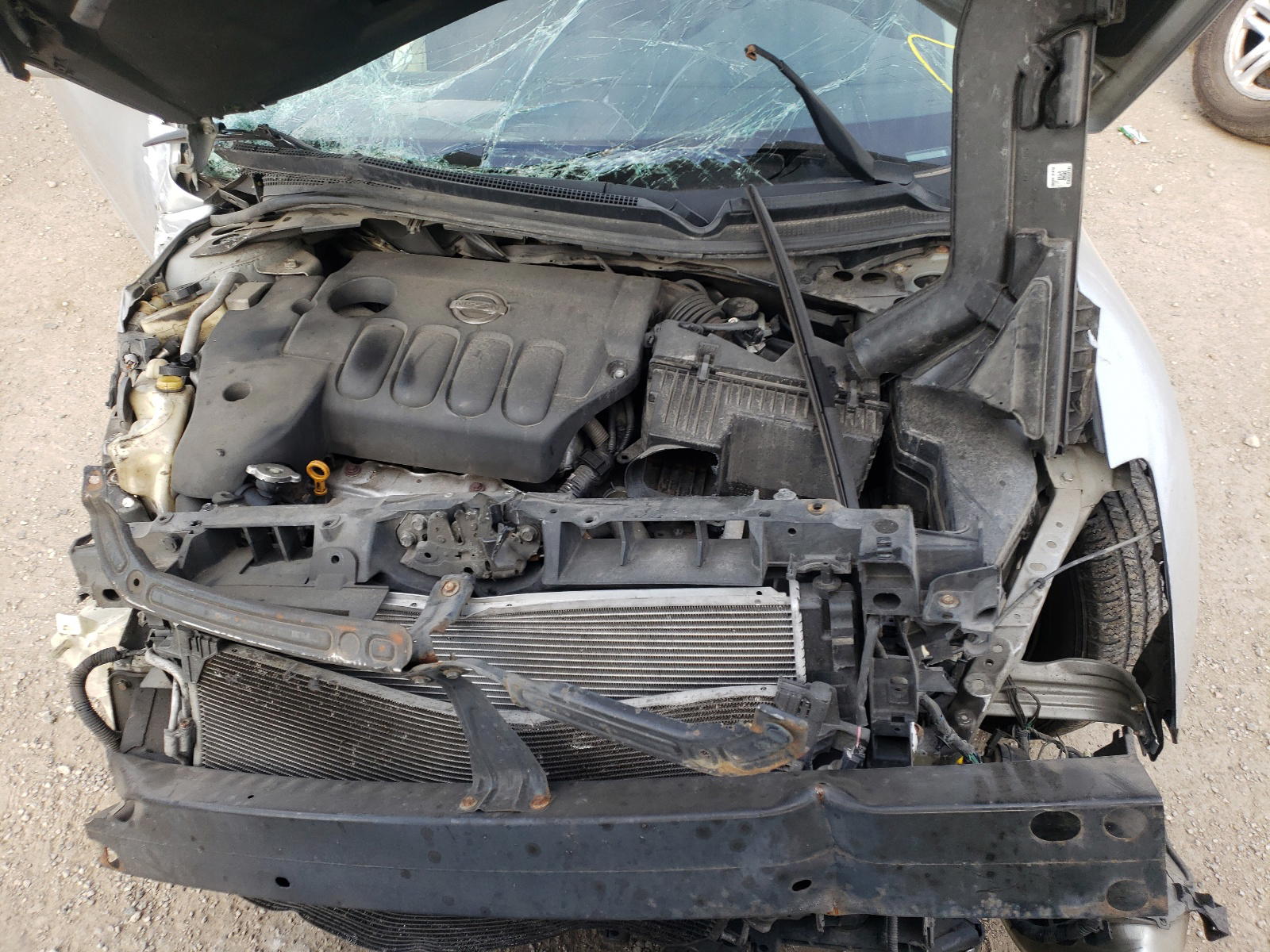 Photo 7 from auction – 2010 NISSAN ALTIMA BAS with VIN 1N4AL2AP3AN469869