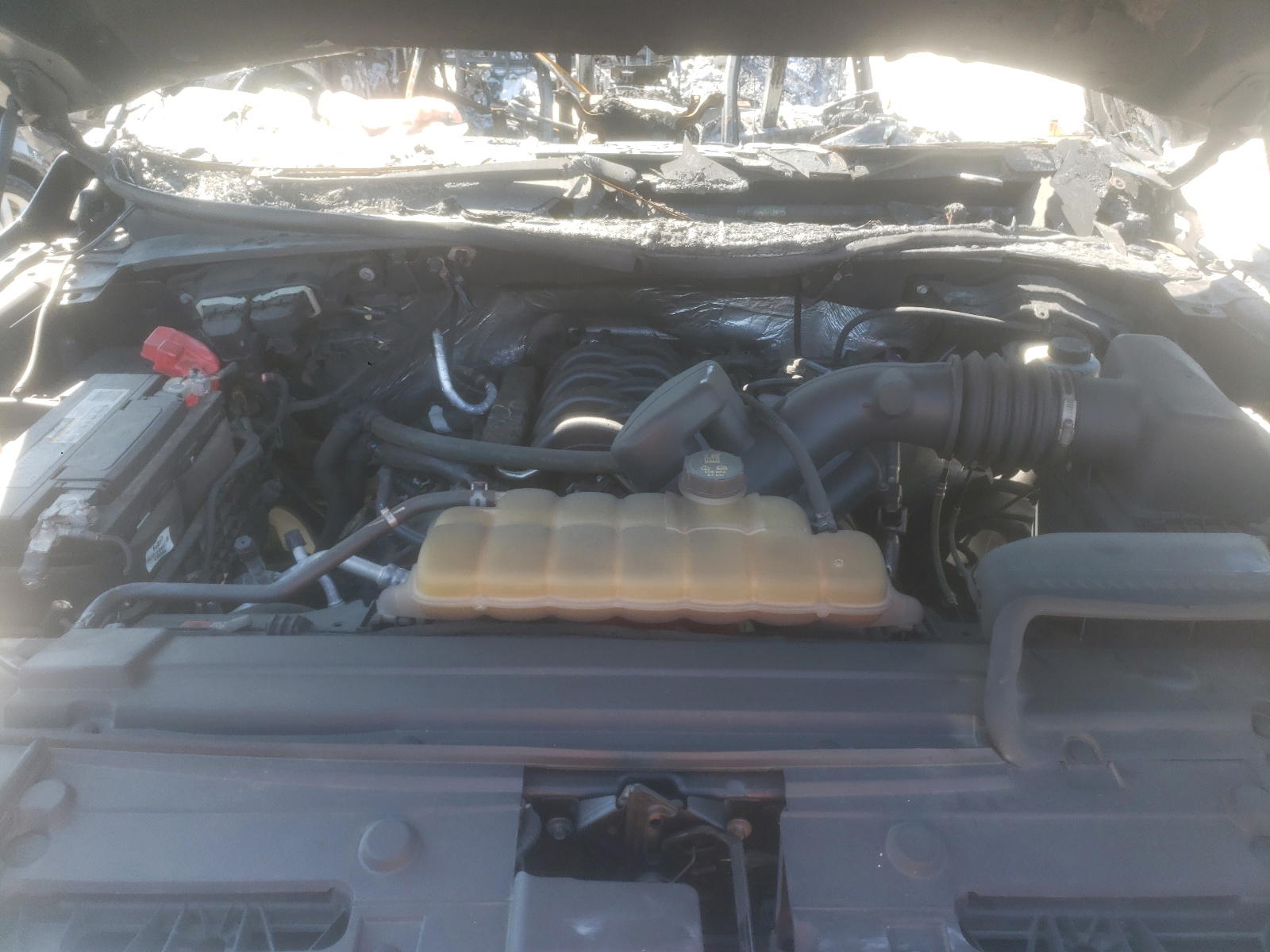 Photo 12 from auction – 2016 FORD F150 SUPER with VIN 1FTEW1EF9GFC05377
