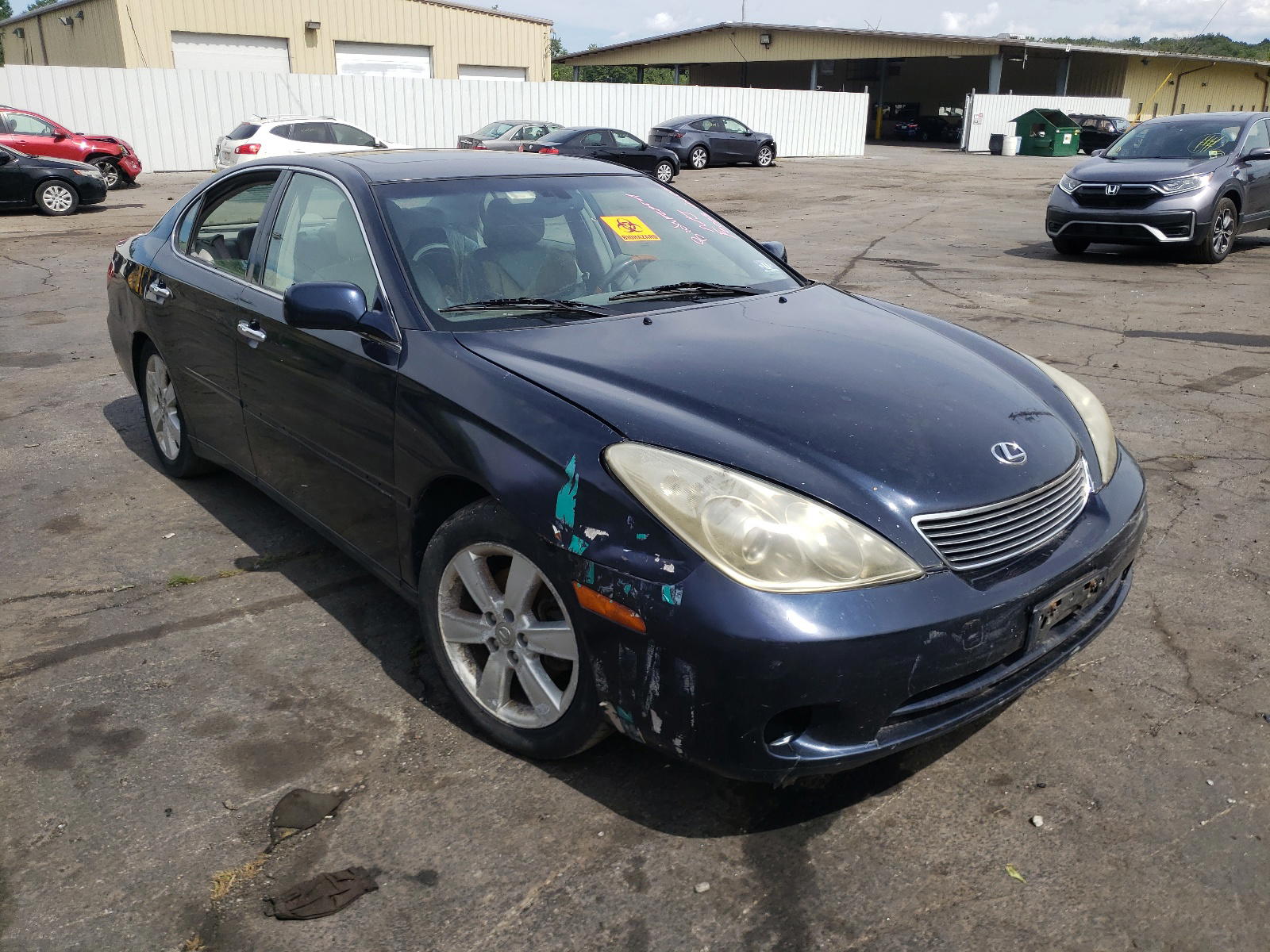 LEXUS ES 330 2005 with VIN JTHBA30G455076611 - Photo from auction