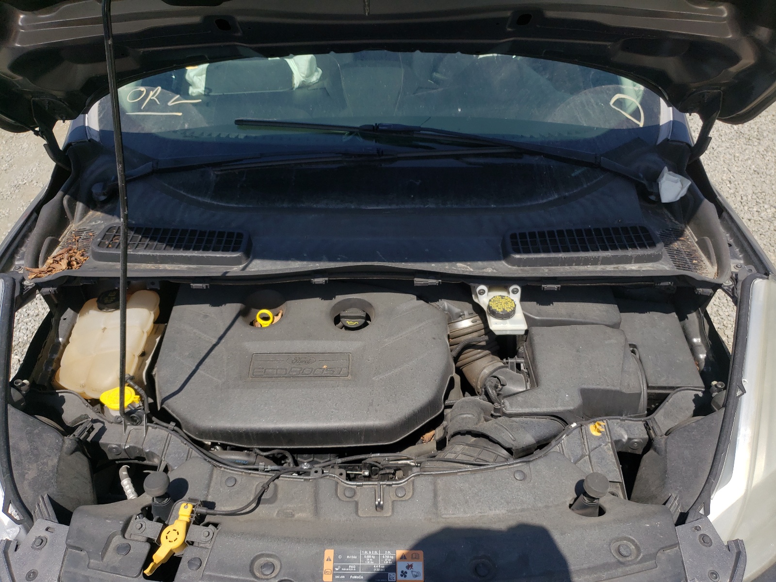 Photo 7 from auction – 2014 FORD ESCAPE TIT with VIN 1FMCU0J9XEUB39000