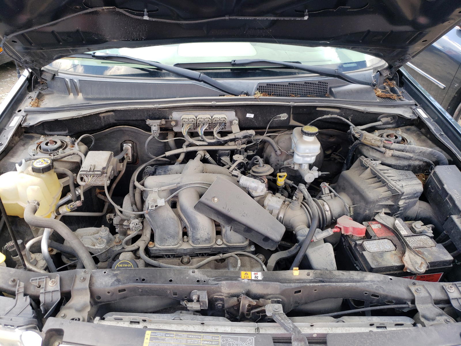 Photo 7 from auction – 2008 FORD ESCAPE XLT with VIN 1FMCU93138KC18858