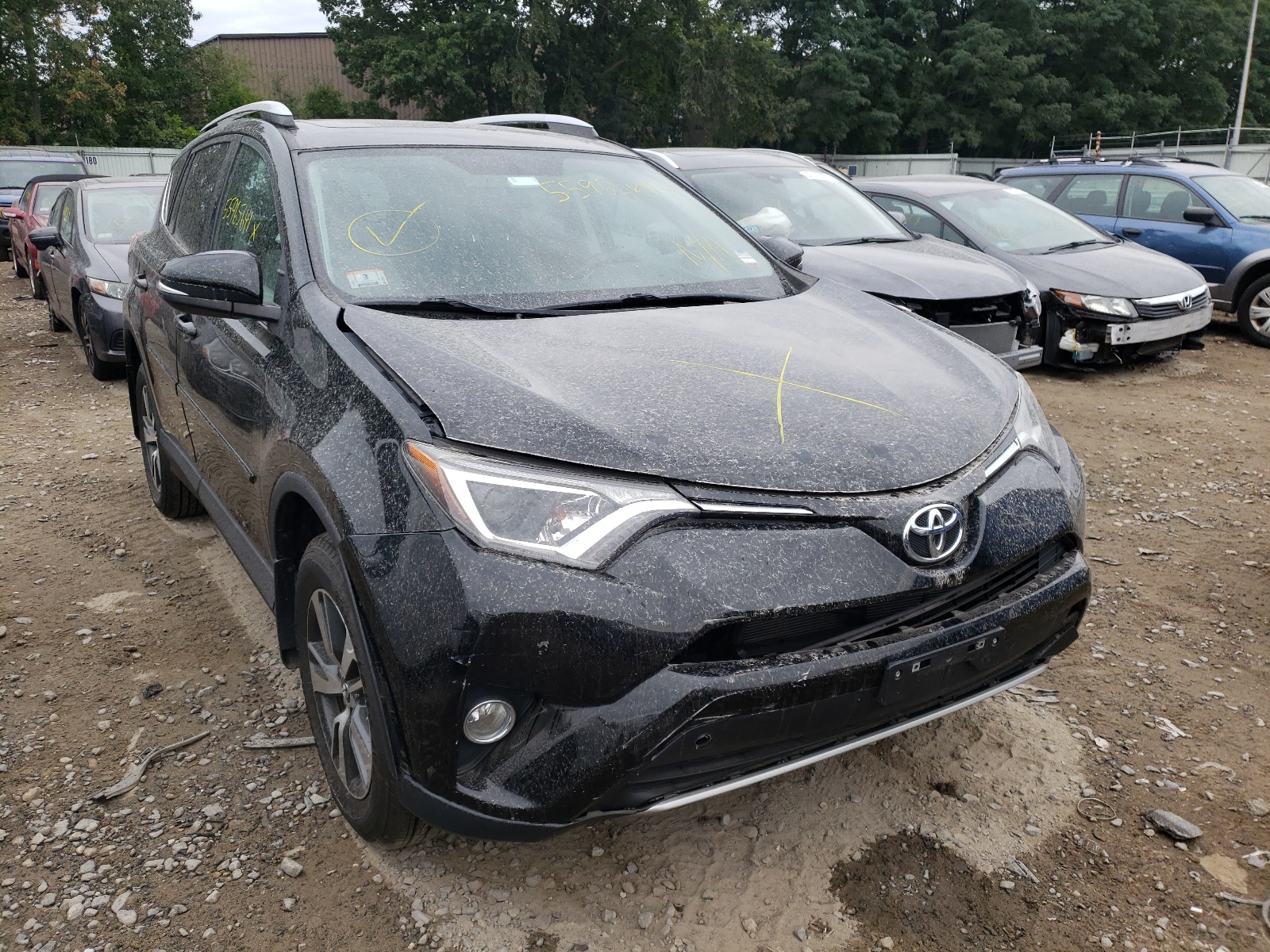 TOYOTA RAV4 XLE 2016 with VIN 2T3RFREV4GW464574 - Photo from auction