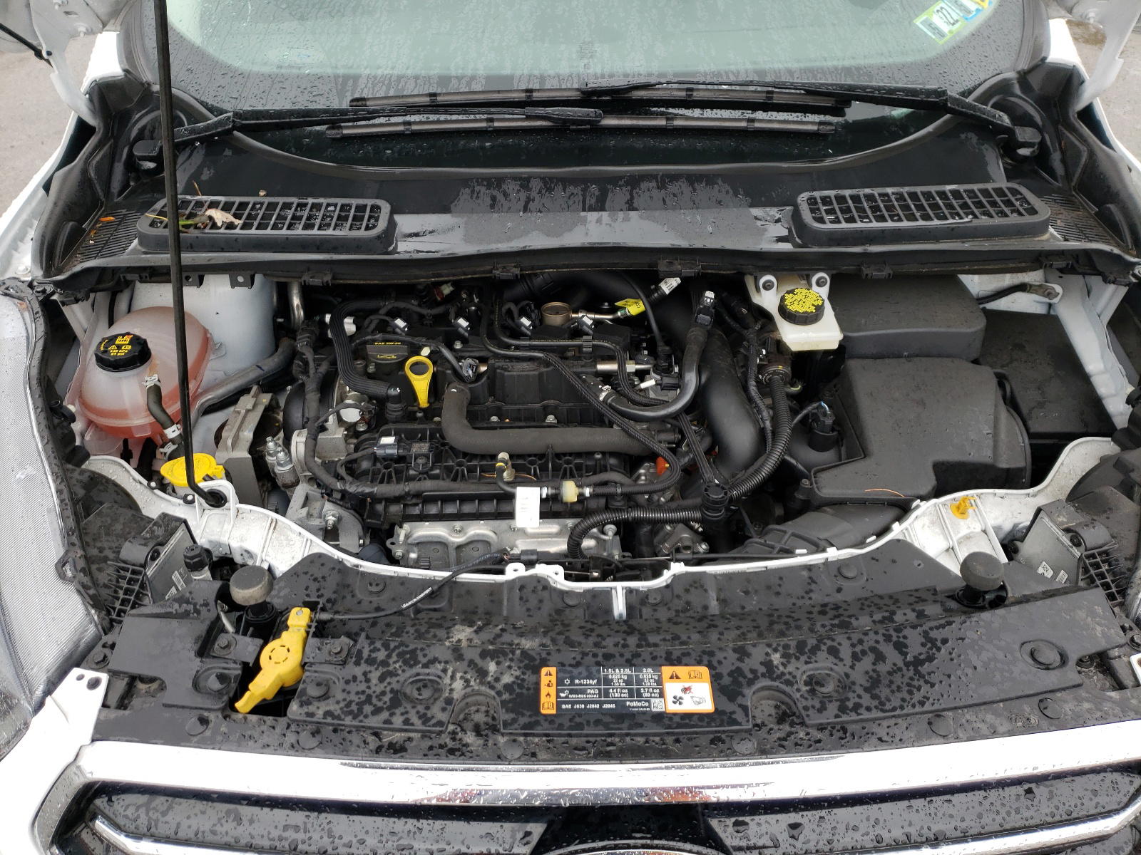 Photo 7 from auction – 2019 FORD ESCAPE SE with VIN 1FMCU9GD2KUB76103