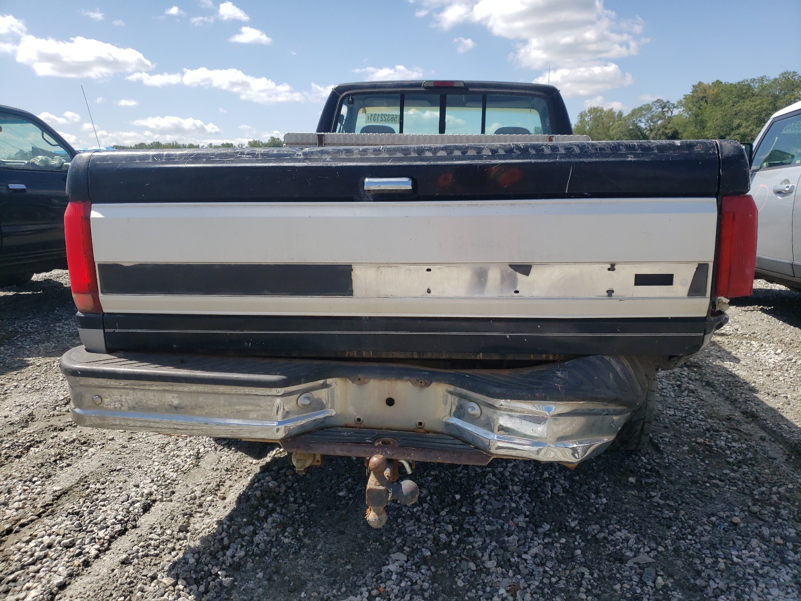 Photo 6 from auction – 1995 FORD F150 with VIN 1FTEF14H0SLA15058