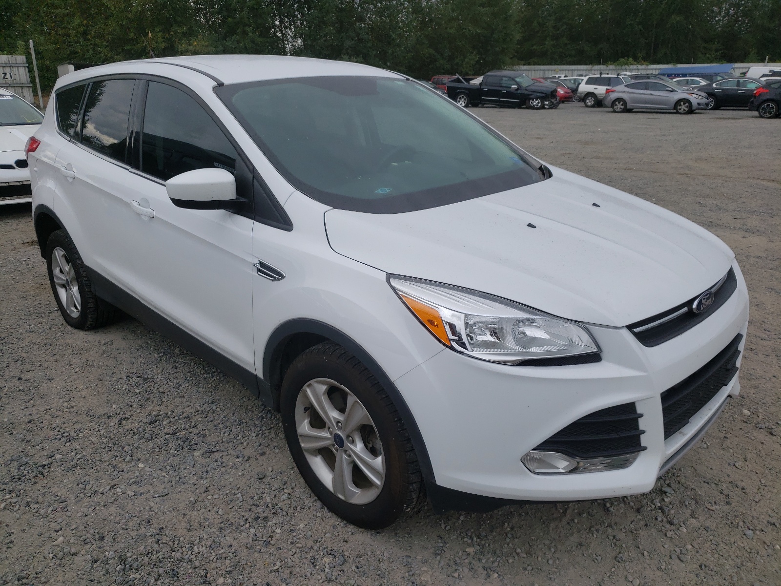 FORD ESCAPE SE 2016 with VIN 1FMCU9GX2GUC61184 - Photo from auction