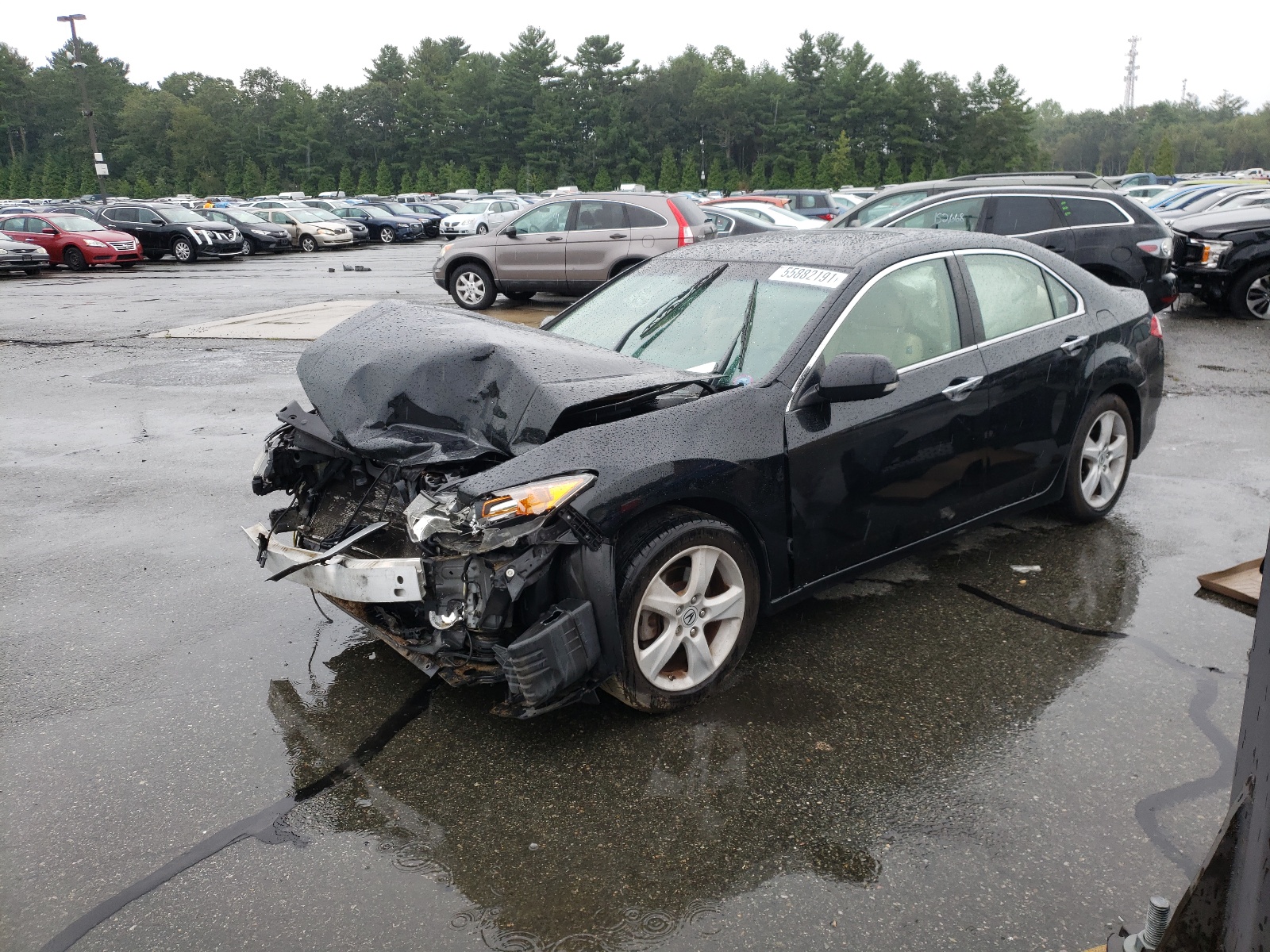 Photo 2 from auction – 2009 ACURA TSX with VIN JH4CU26679C005070