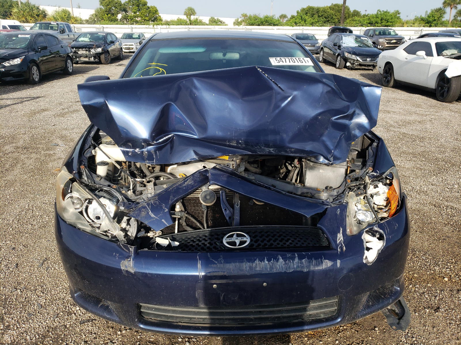 Photo 9 from auction – 2010 SCION TC with VIN JTKDE3B72A0321613